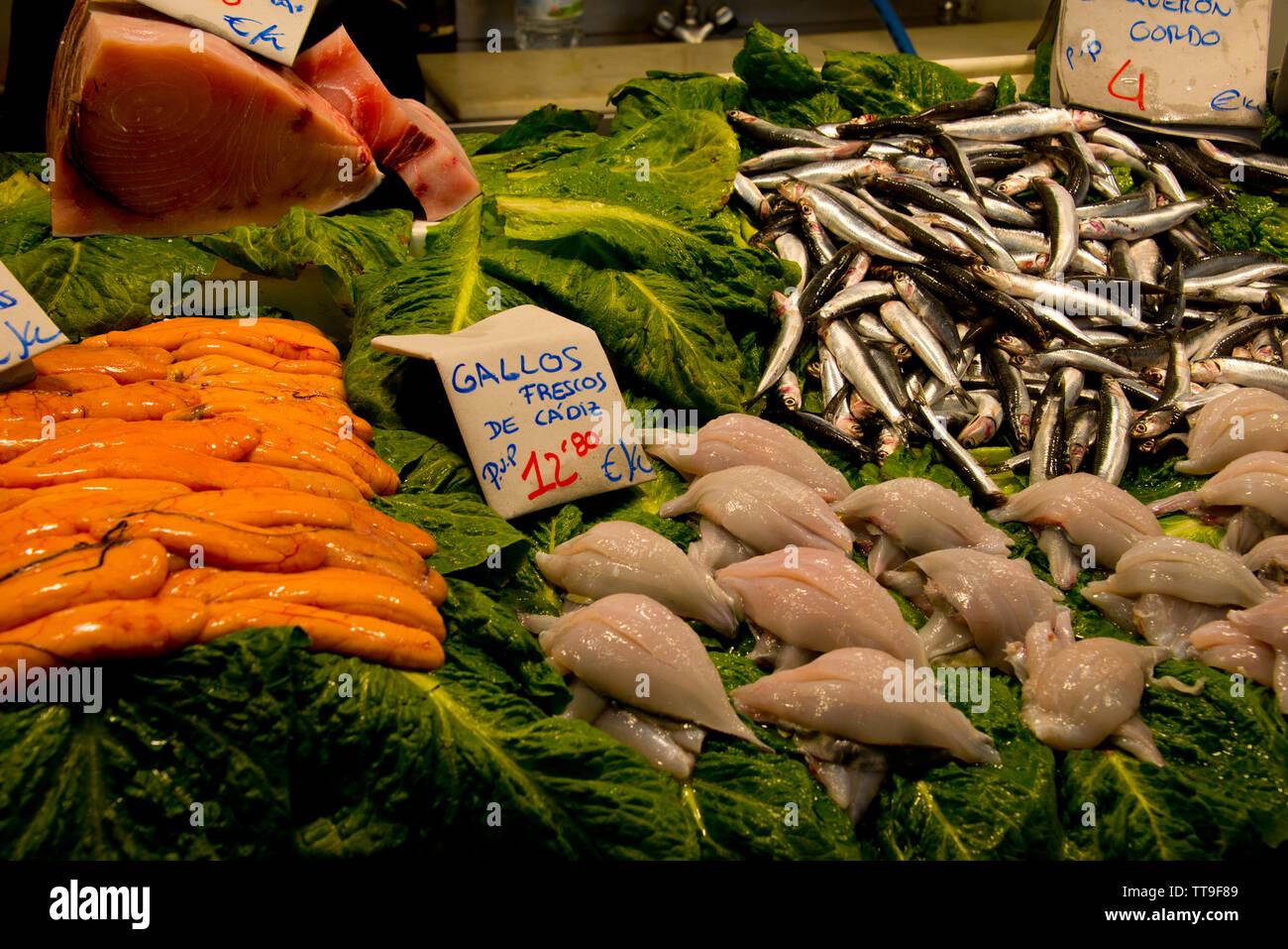 assorted mediterannean fish and roe with price tags at market stall in cadiz, andalusia, spain Stock Photo