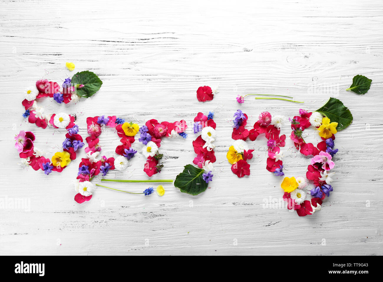 another word for petal