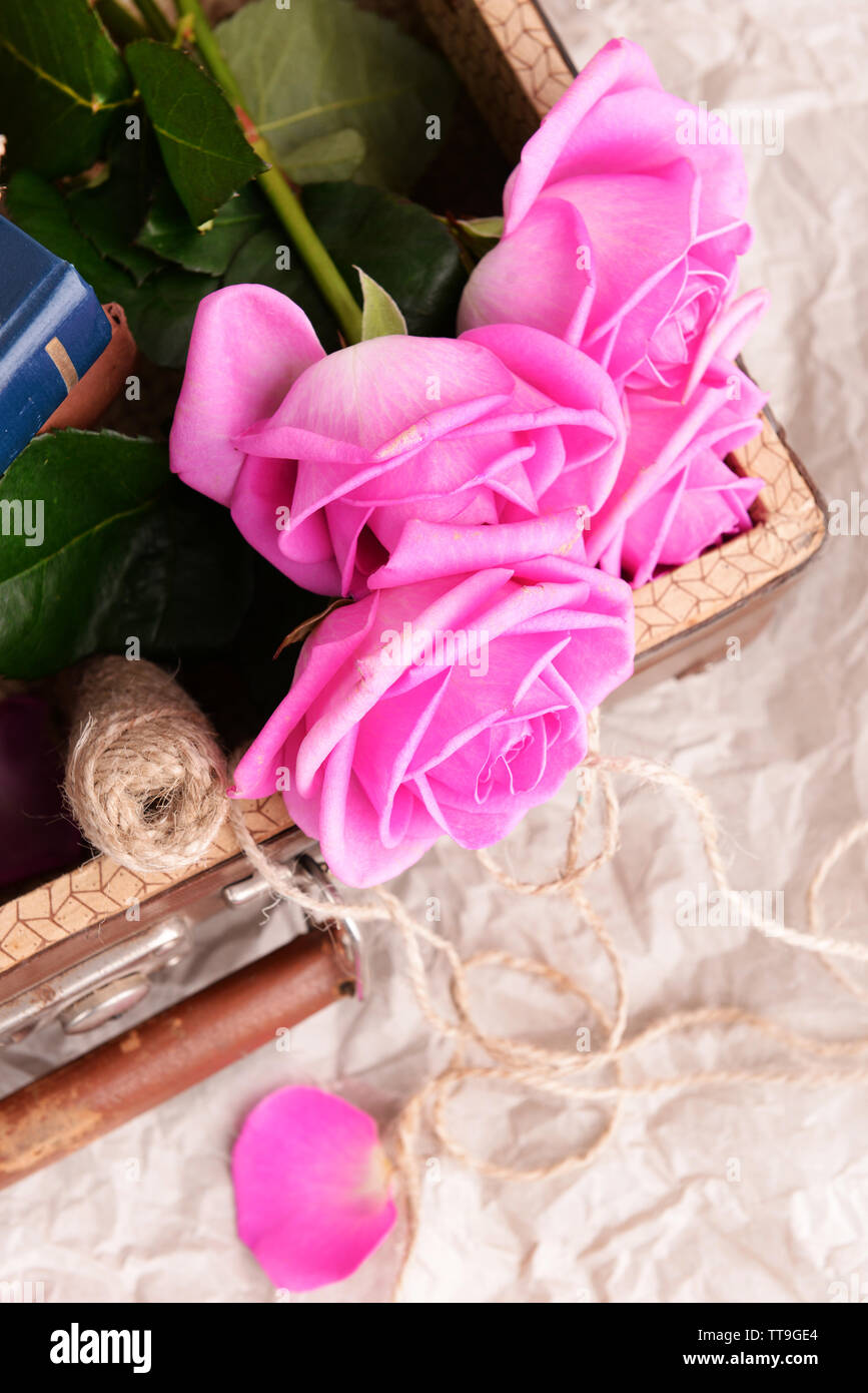 Beautiful pink roses on parchment background Stock Photo - Alamy