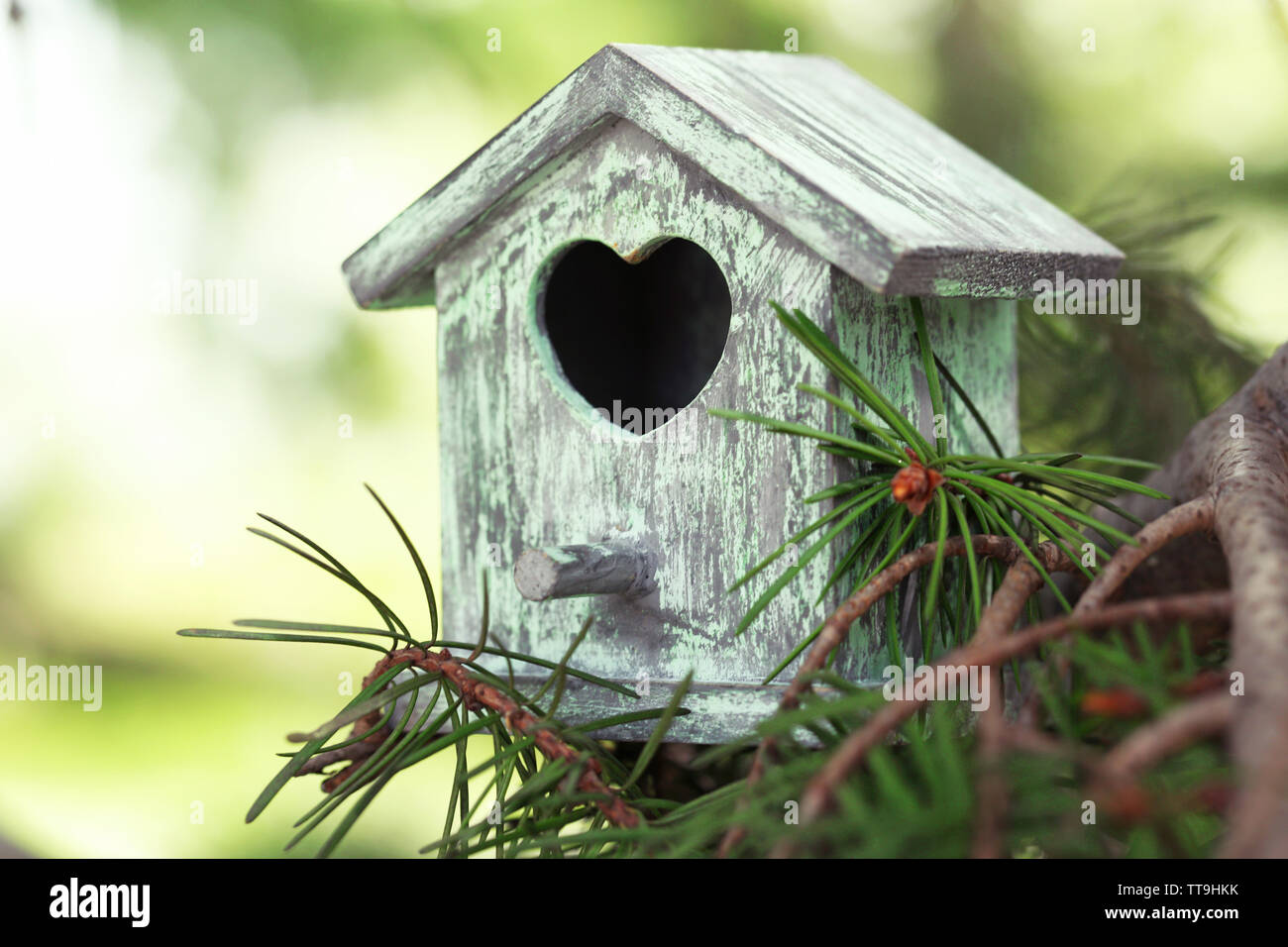 Decorative nesting box on branch, on green background Stock Photo Alamy