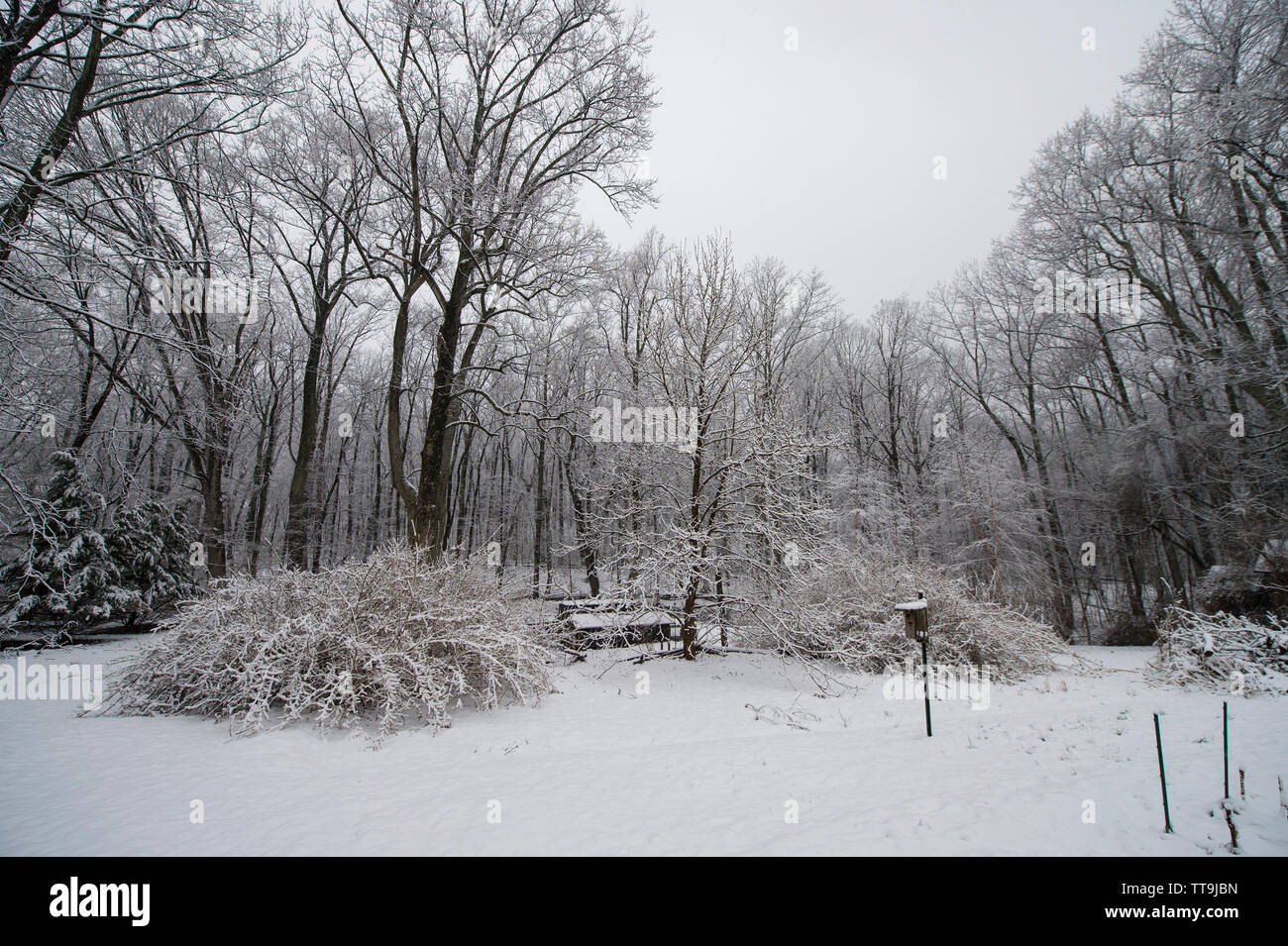 UNITED STATES: MARCH 20, 2015: A late season snow storm on the first day of spring in the Blueridge Mountains of Virginia laid down about four inches Stock Photo