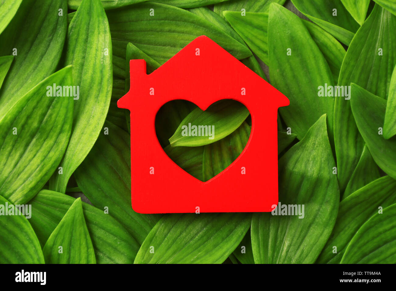 Wooden house on green leaves background Stock Photo - Alamy