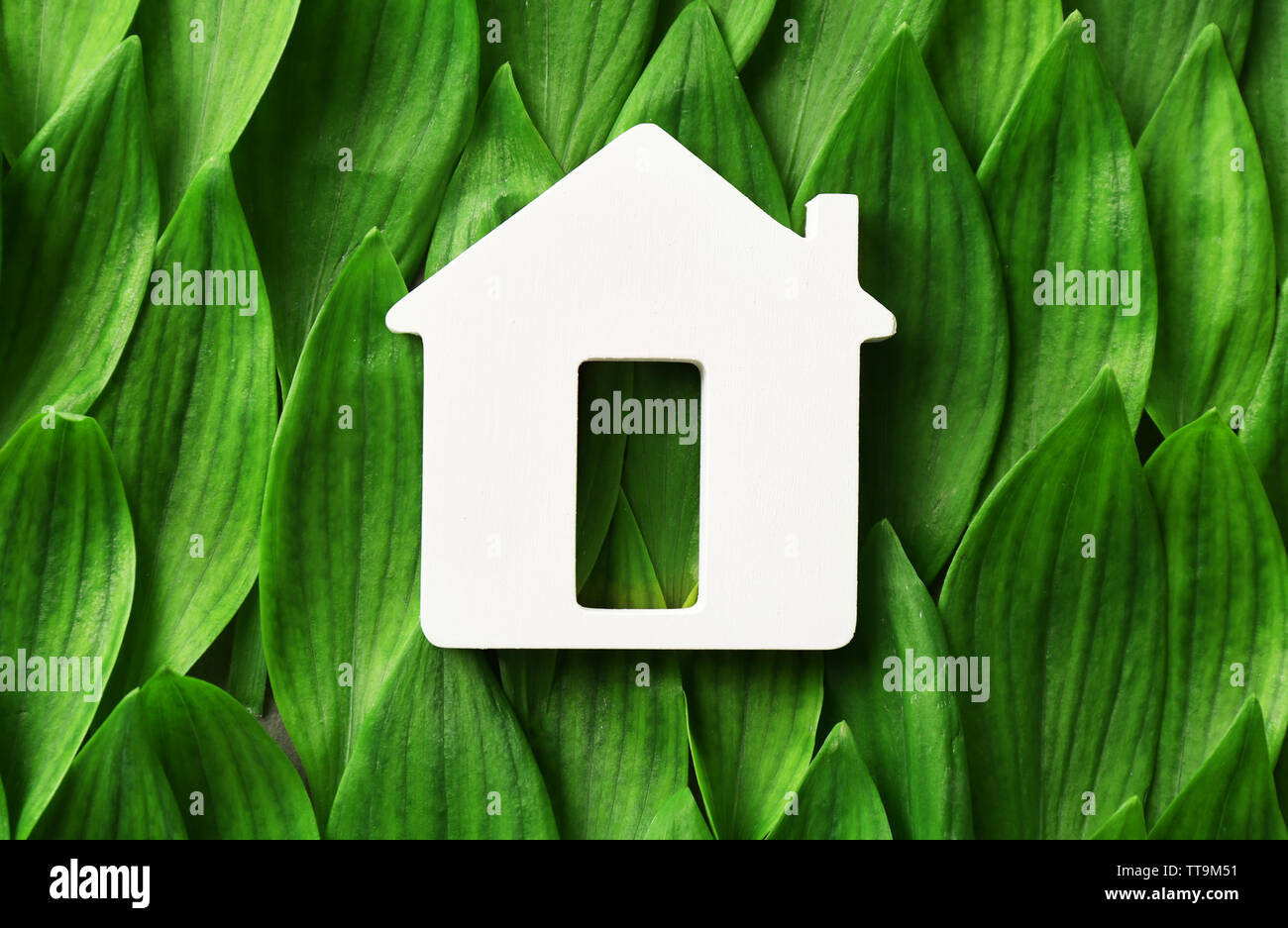 Wooden house on green leaves background Stock Photo - Alamy
