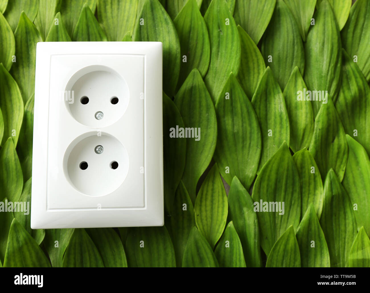 Socket isolated on white Stock Photo - Alamy
