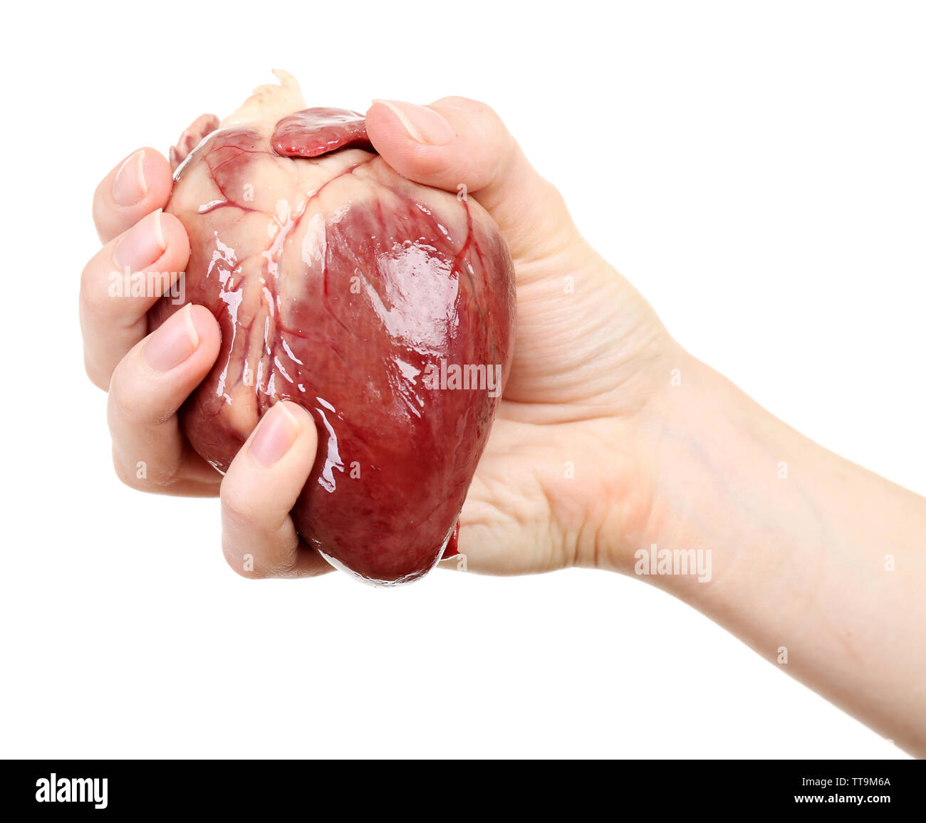Heart in female hand isolated on white Stock Photo - Alamy