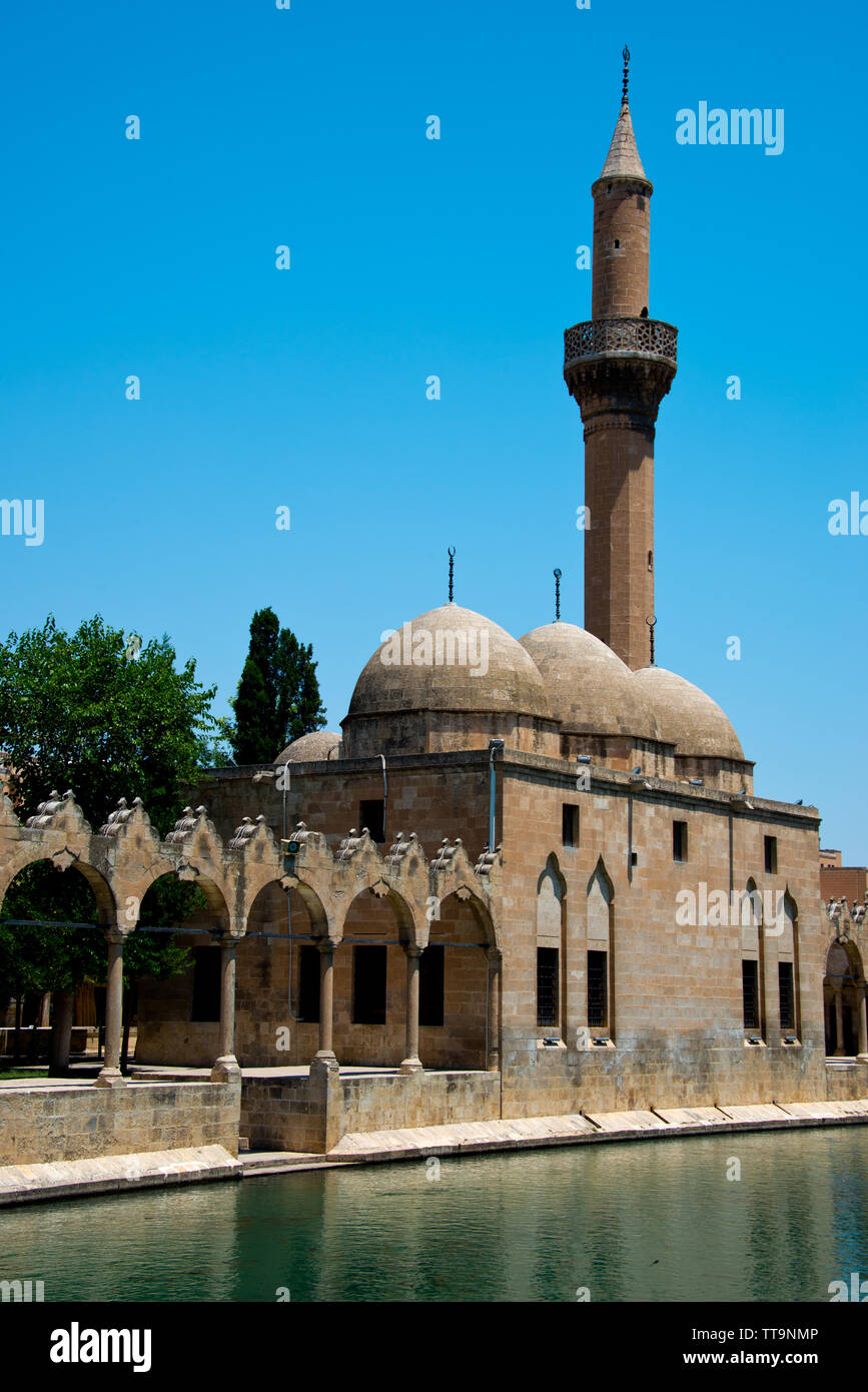 famous Rizvaniye Mosque and Abraham's fishpond (Balıklıgöl) in sanliurfa, anatolia, turkey Stock Photo