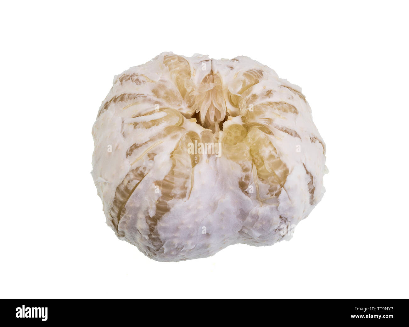 Pomelo Innermost View of the inner edible juicy fruit part of a pomelo, the world ...