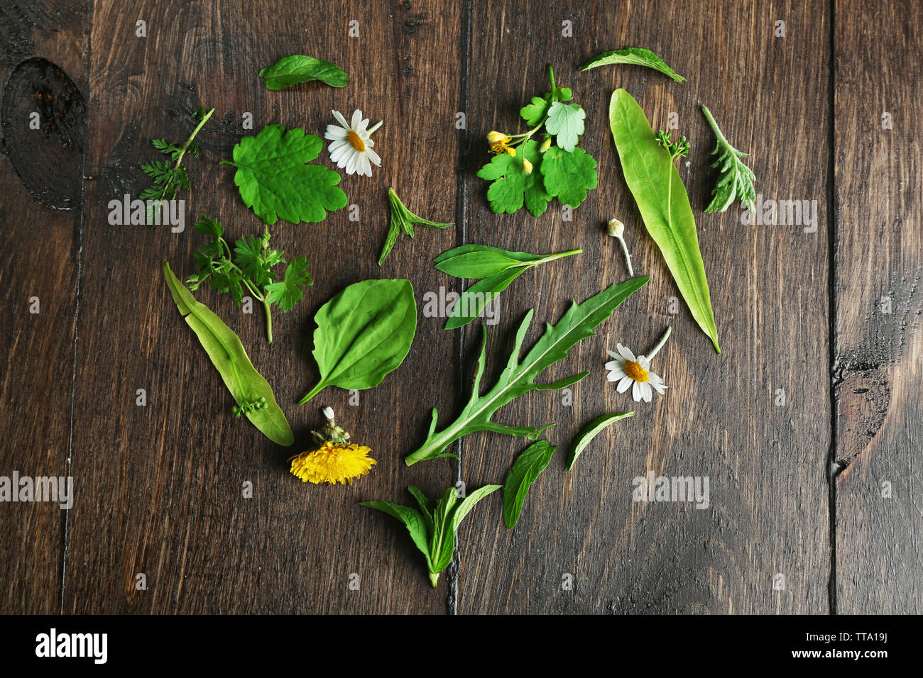 Various medicinal plants hi-res stock photography and images - Alamy