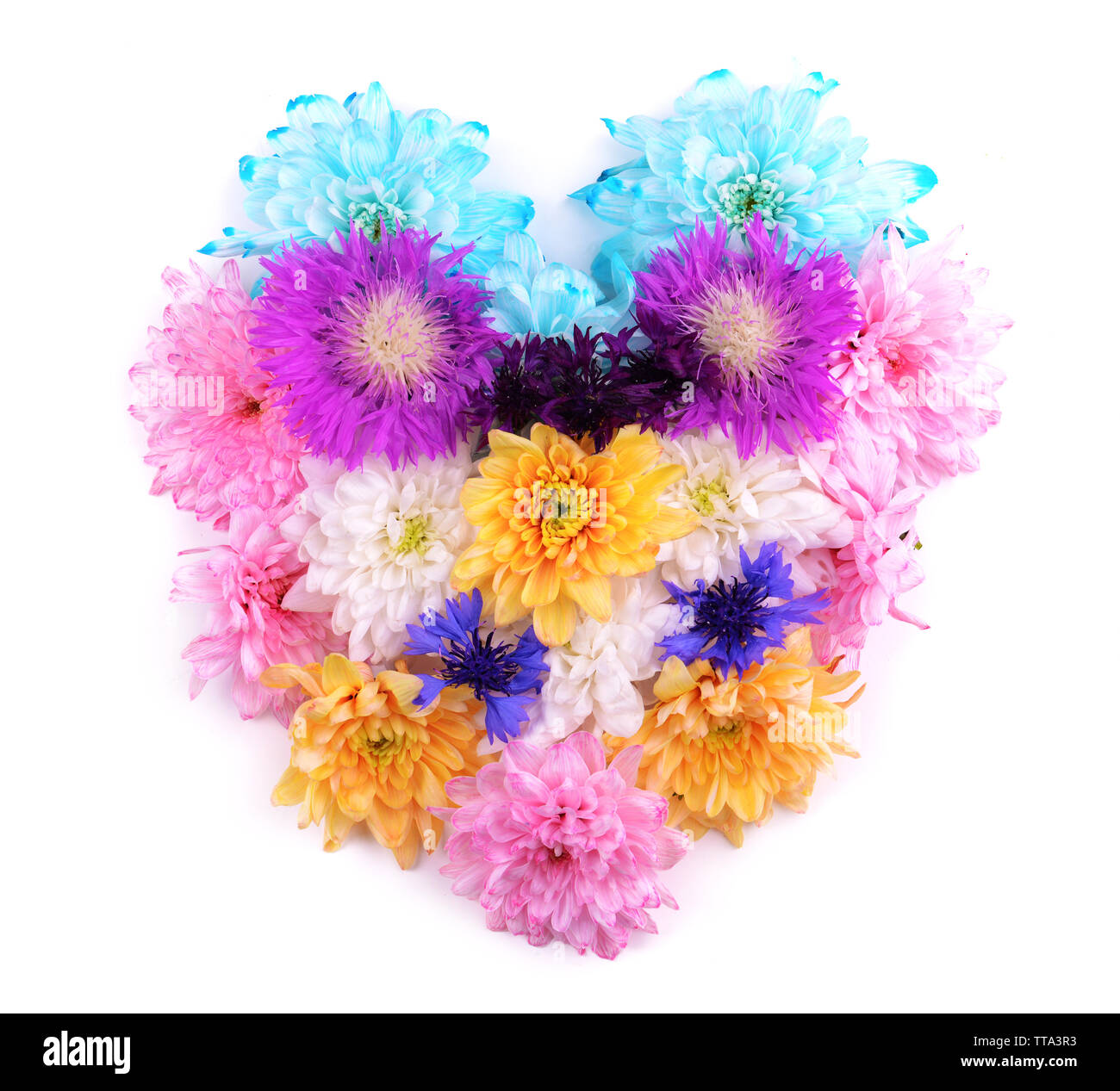 Beautiful flowers in heart shape isolated on white Stock Photo Alamy