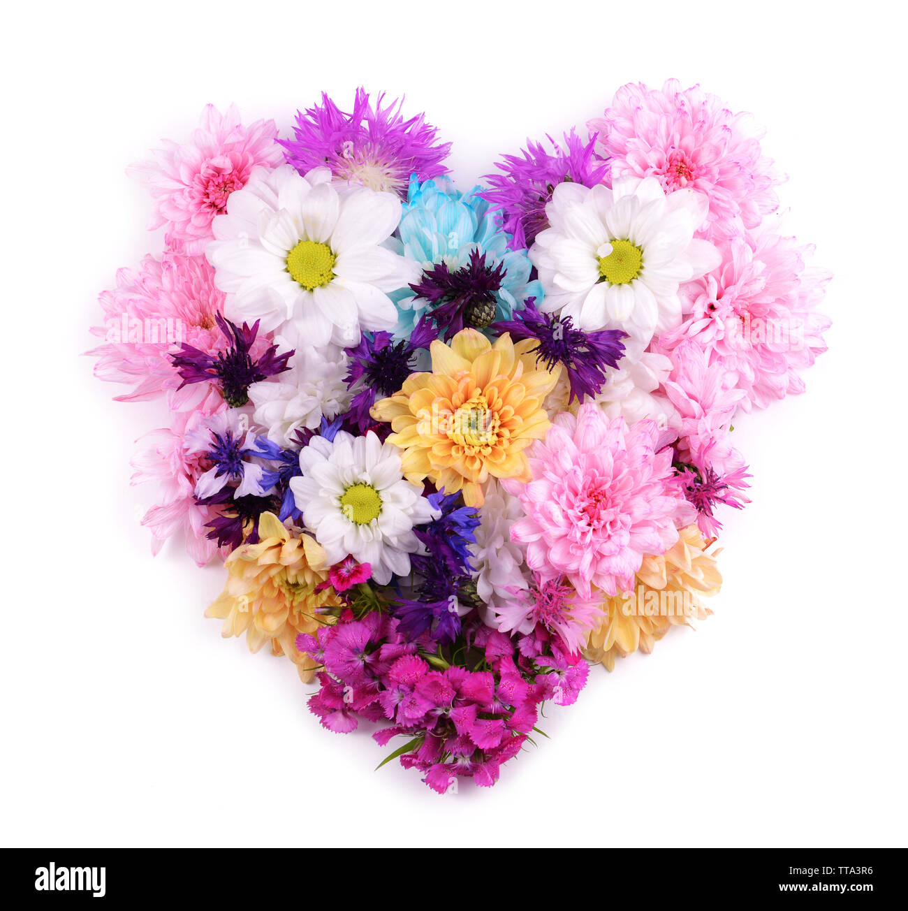 Beautiful flowers in heart shape isolated on white Stock Photo Alamy