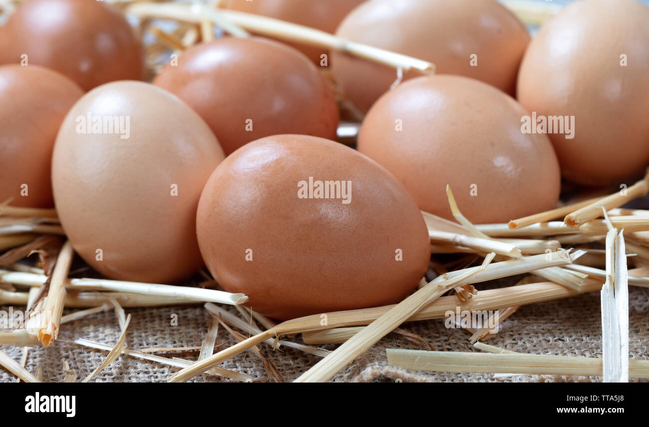 Raw organic brown farm eggs on straw background Stock Photo - Alamy
