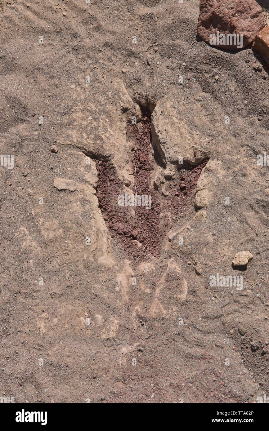 Dinosaur footprint in Torotoro National Park, Torotoro, Bolivia Stock Photo