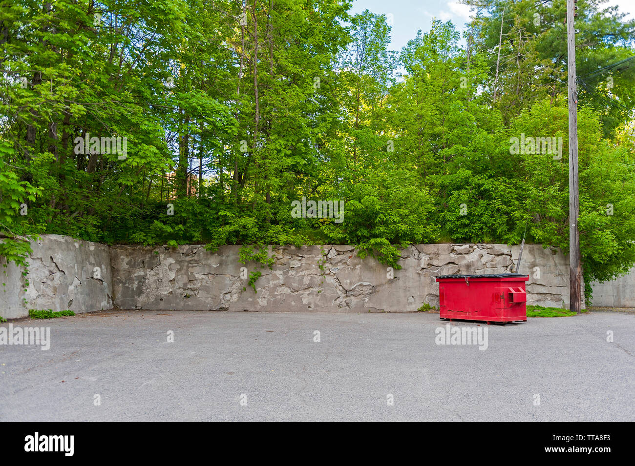 Red industrial garbage bin by concrete wall Stock Photo