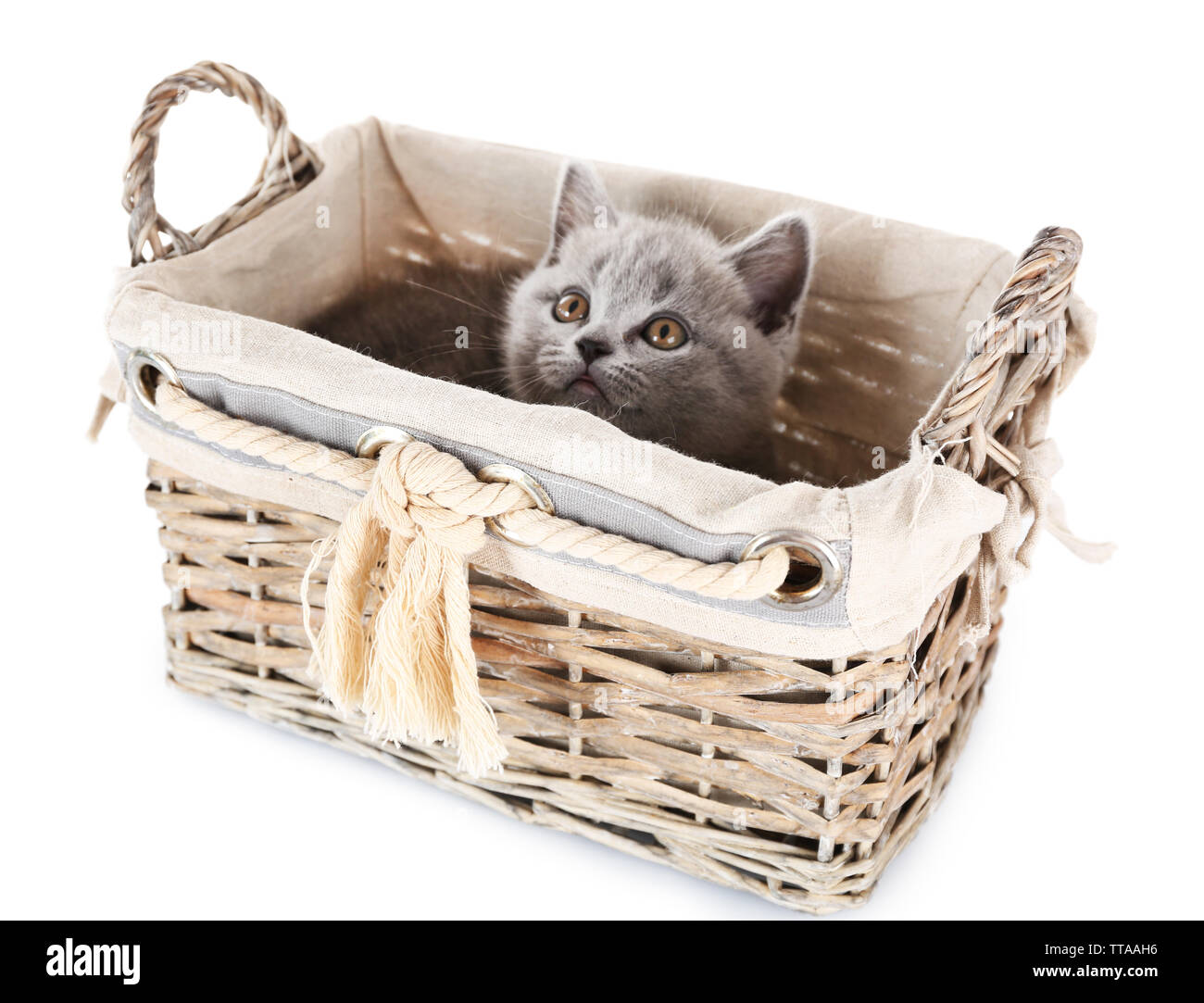 Cute gray kitten in wicker basket isolated on white Stock Photo - Alamy