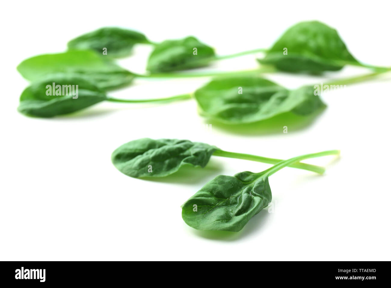 Fresh spinach leaves isolated on white Stock Photo - Alamy