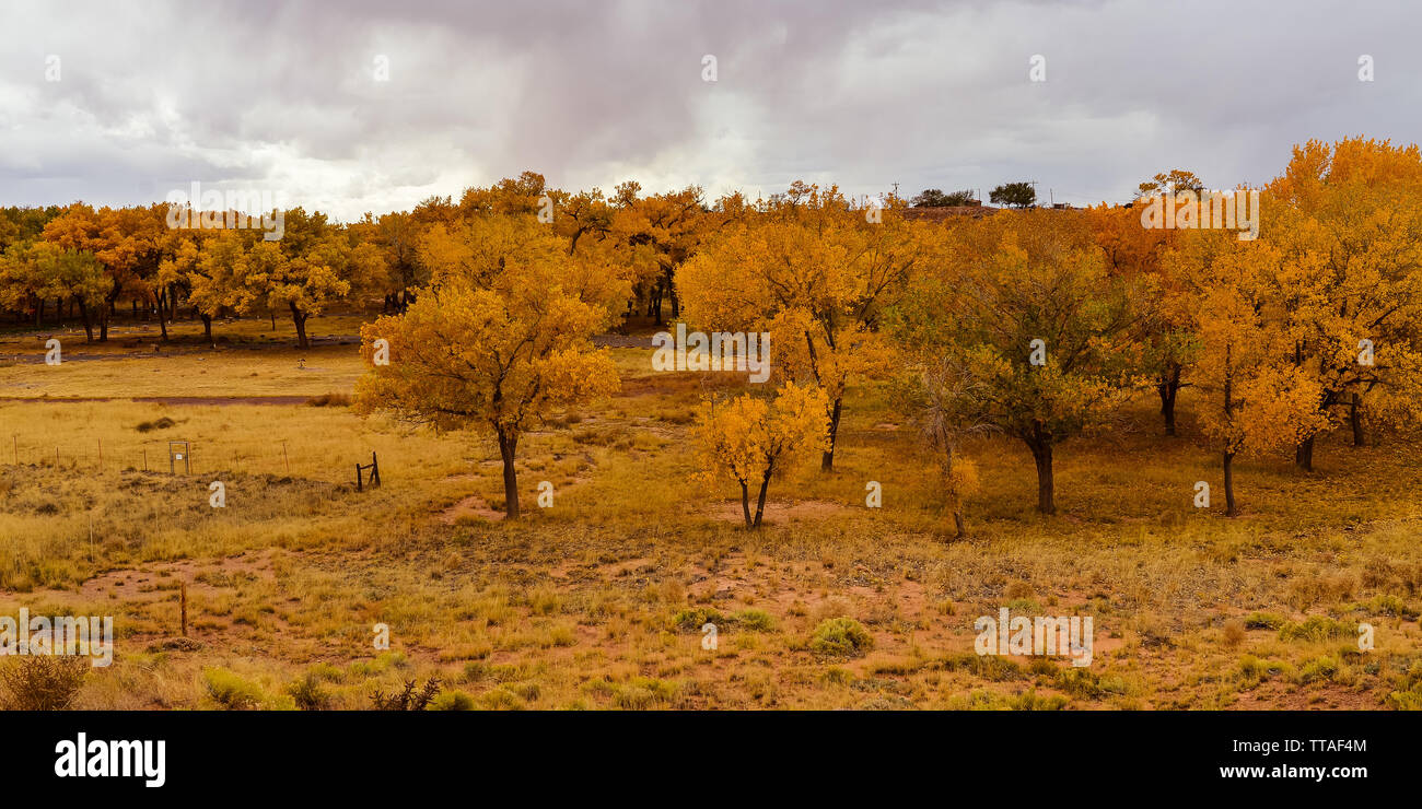Autumn scenery in Chinle, Arizona, USA Stock Photo Alamy