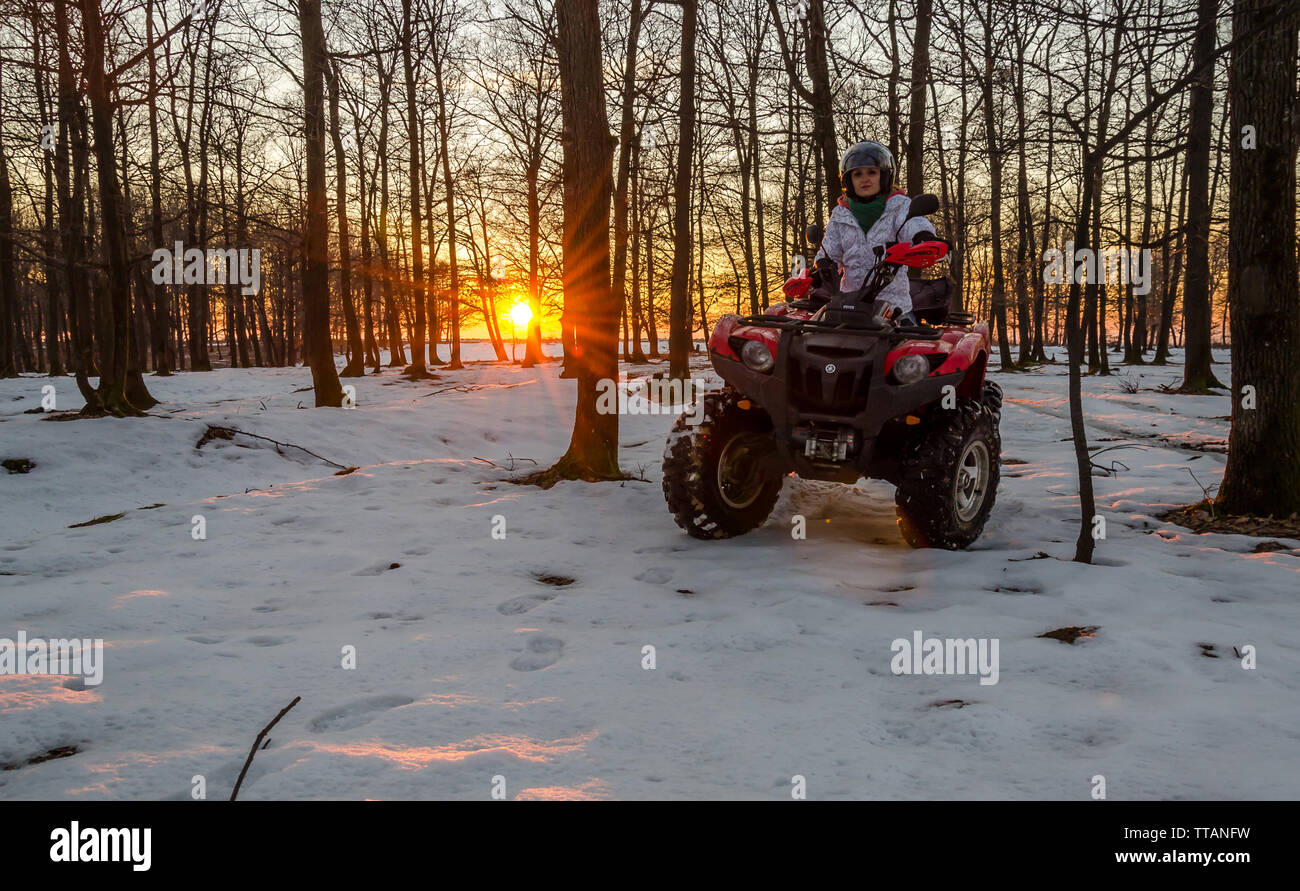 Even if there is frost, it is snow, we can not ignore the landscape. The sun shines through the unruly trees, the snow has taken over the ground, ever Stock Photo