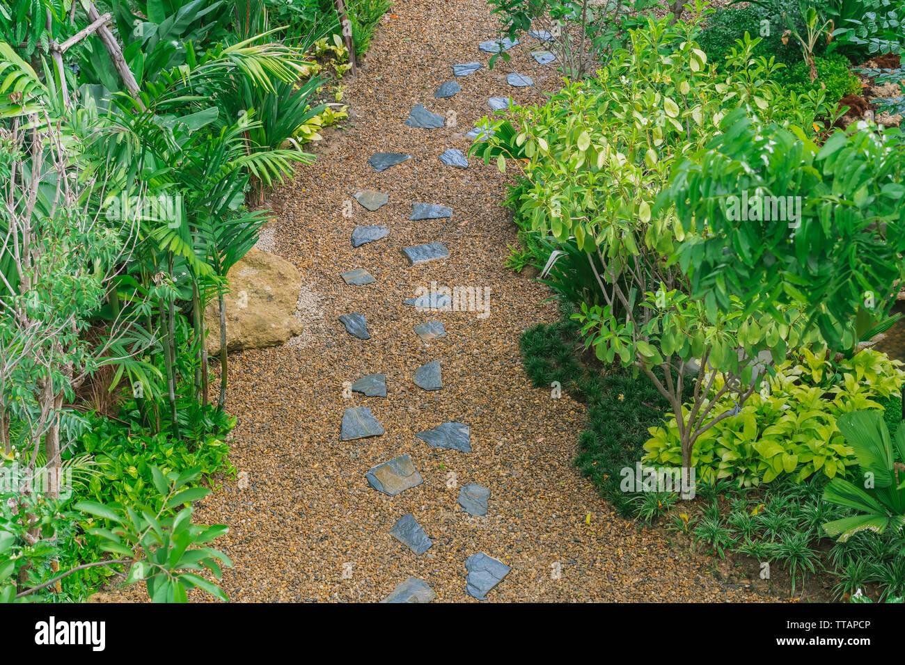 Top view of walkway in the garden and green shrub beside pathway.Garden ...