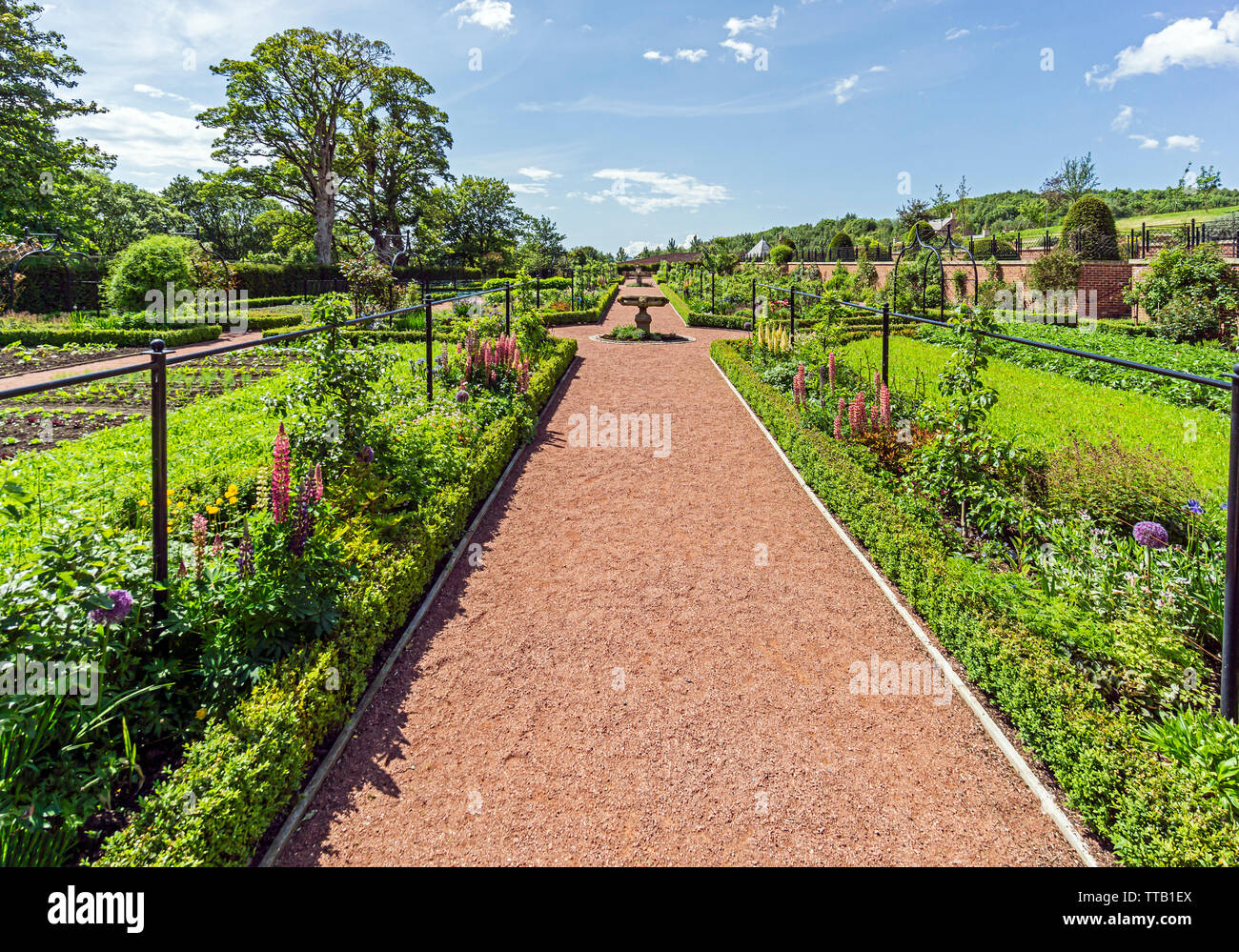 The Queen Elisabeth Walled Gardens at Dumfries House and Garden in Dumfries House Estate near Cumnock East Ayrshire Scotland UK Stock Photo