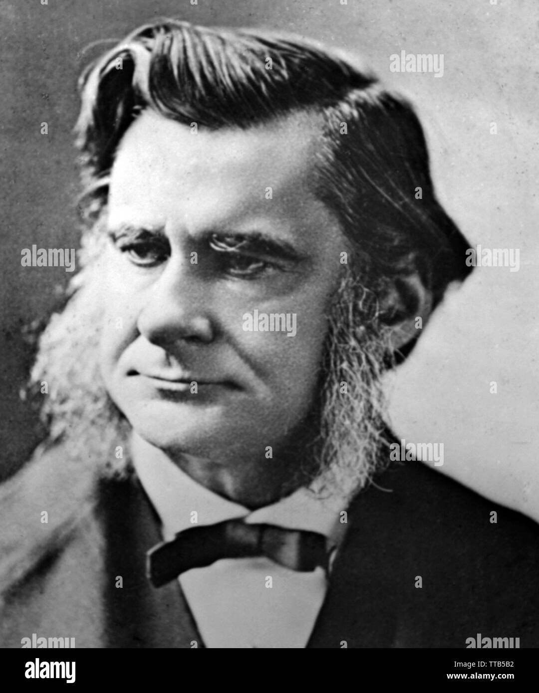 Professor Thomas Henry Huxley, Darwin's Bulldog Stock Photo Alamy