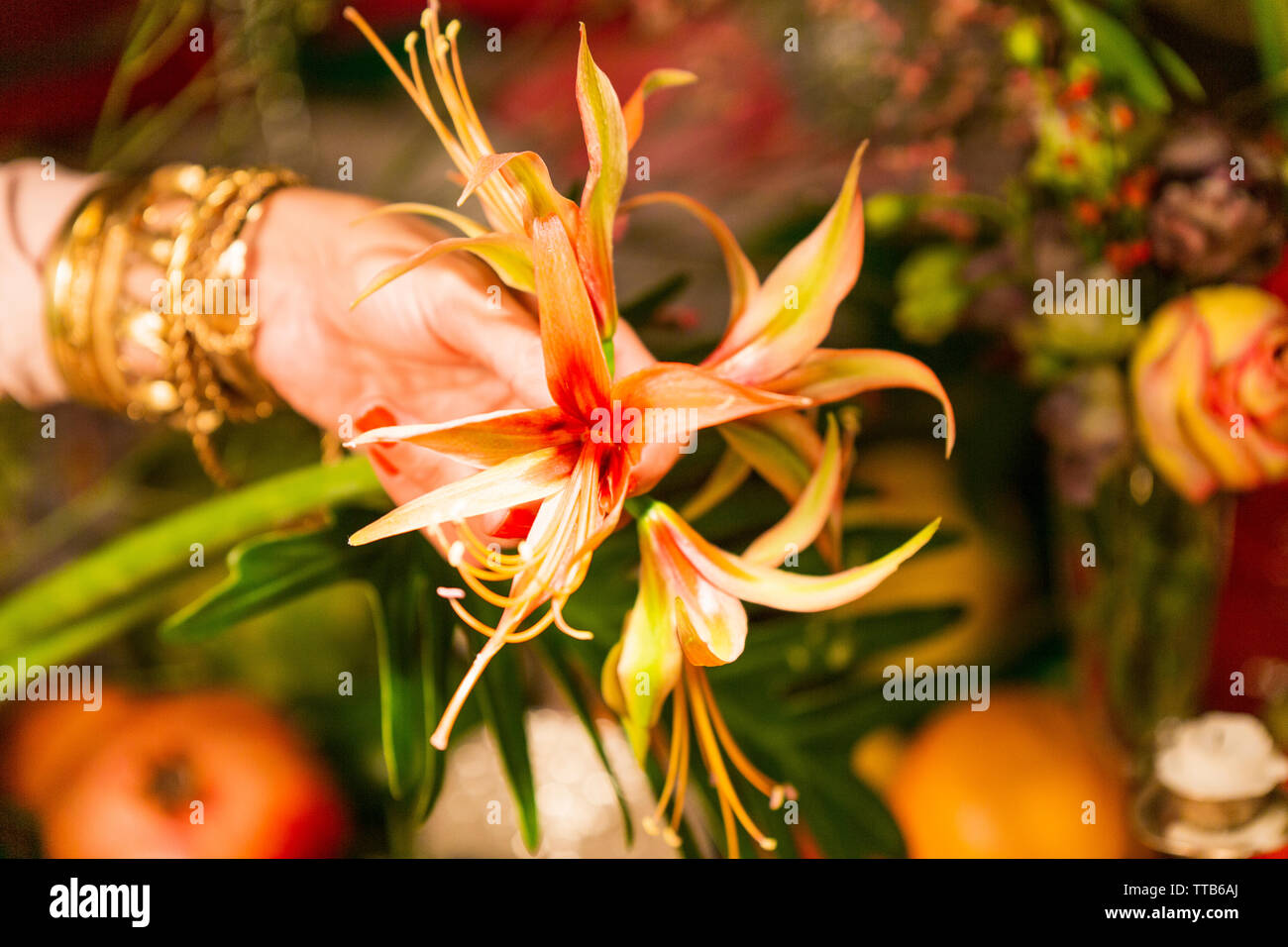 Hand holding flowers in front of autumn crops Stock Photo