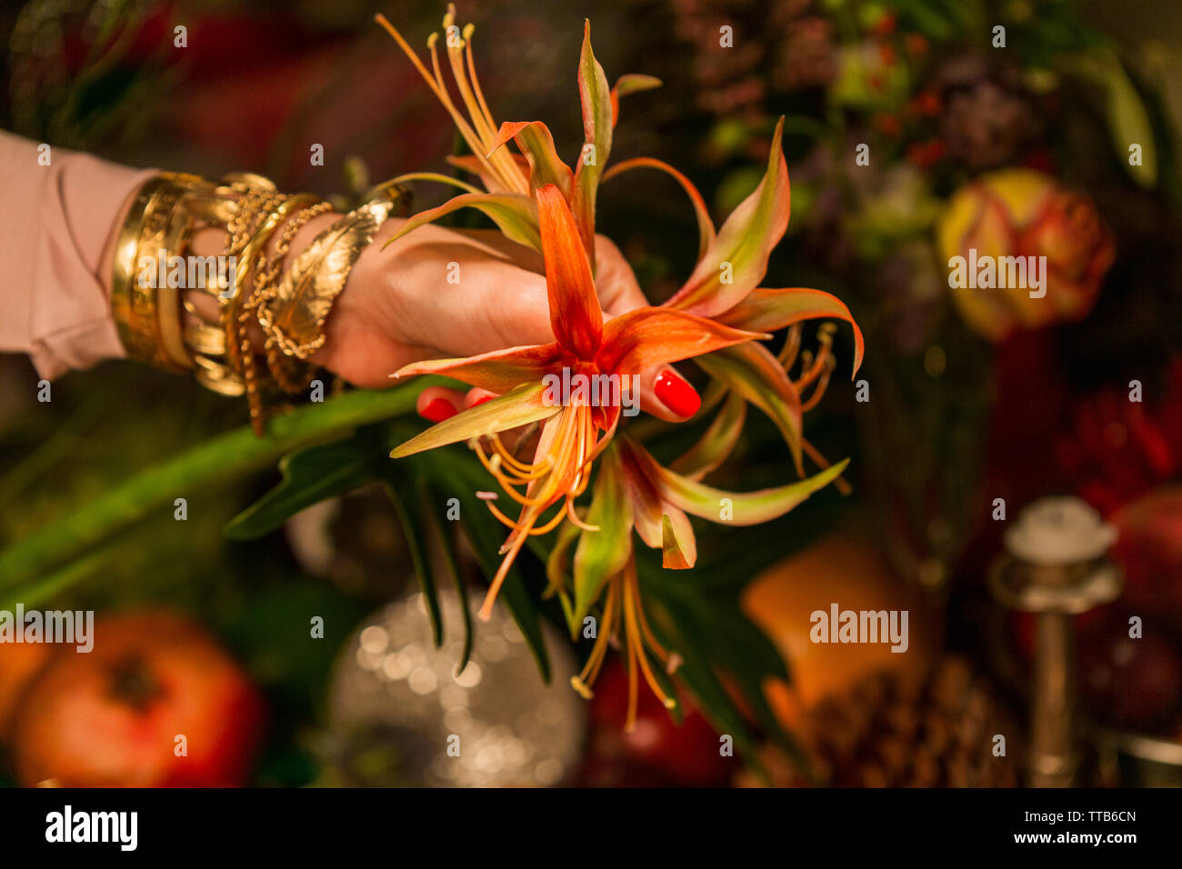 Hand holding flowers in front of autumn crops Stock Photo