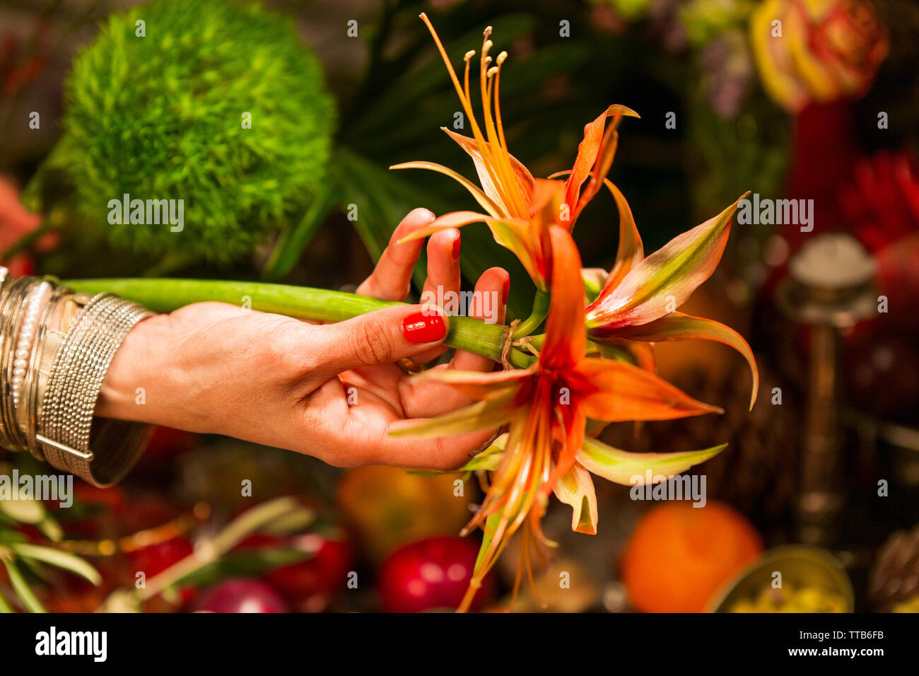 Hand holding flowers in front of autumn crops Stock Photo