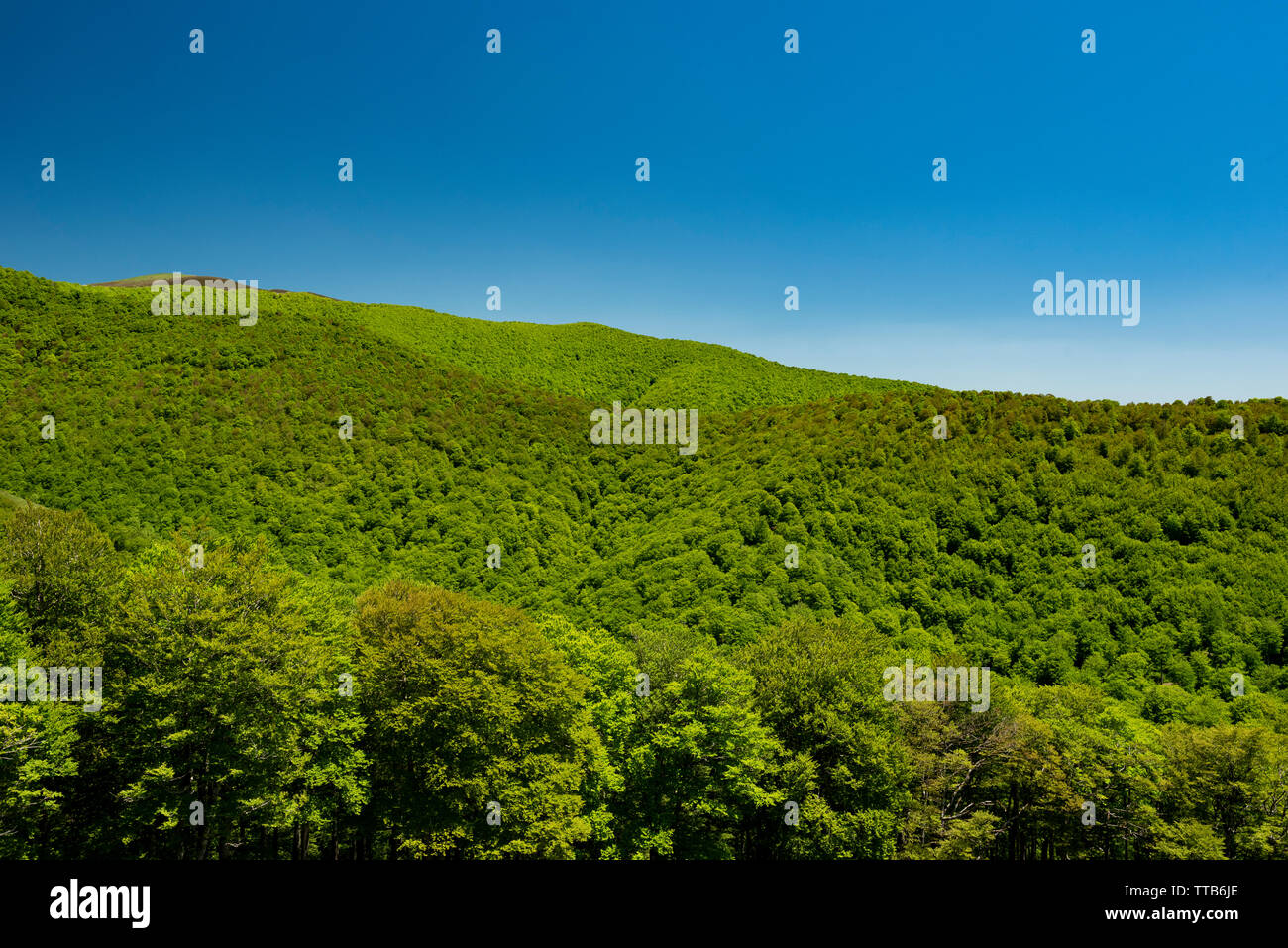 Camino navarro hires stock photography and images Alamy