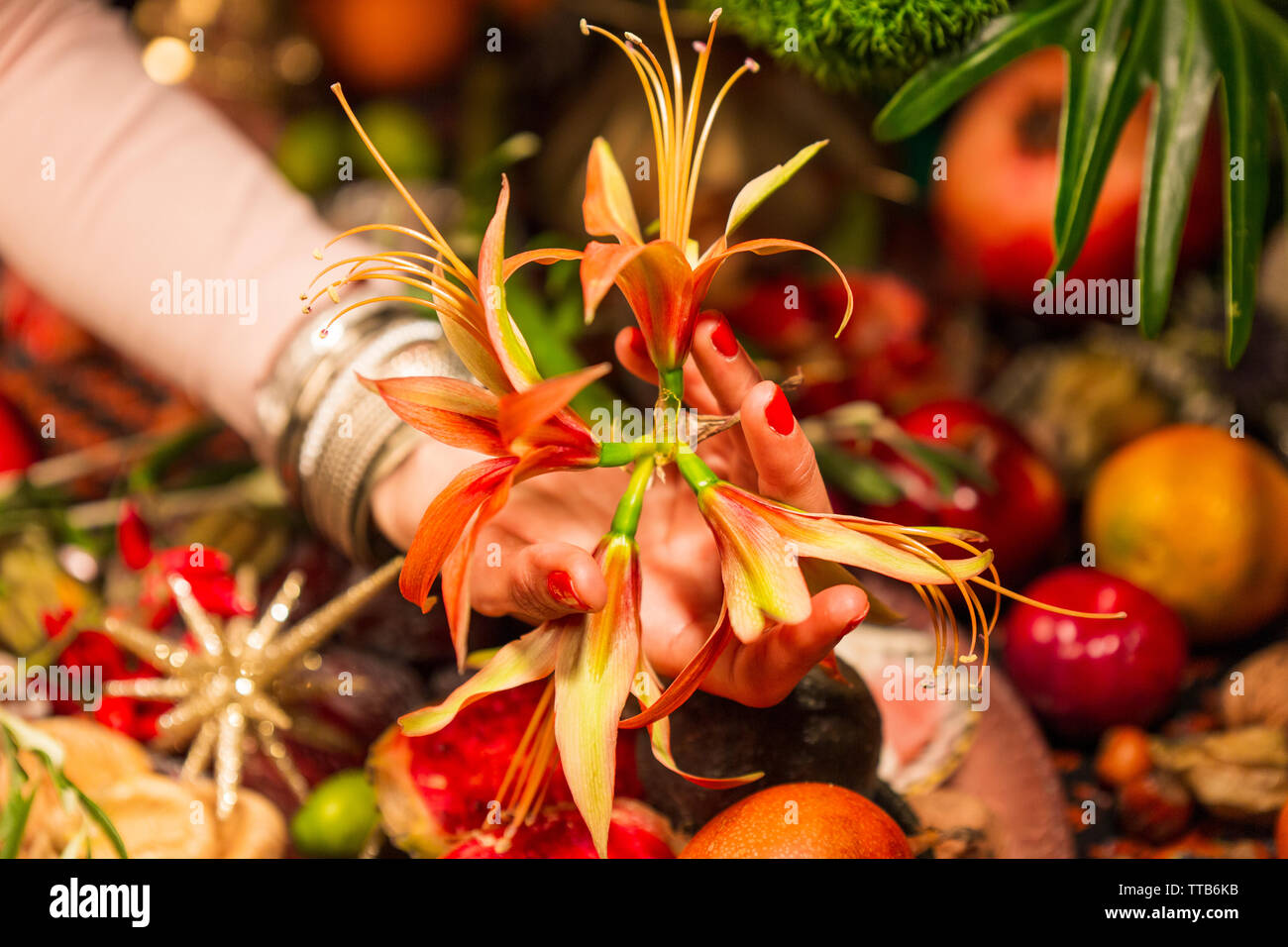 Hand holding flowers in front of autumn crops Stock Photo