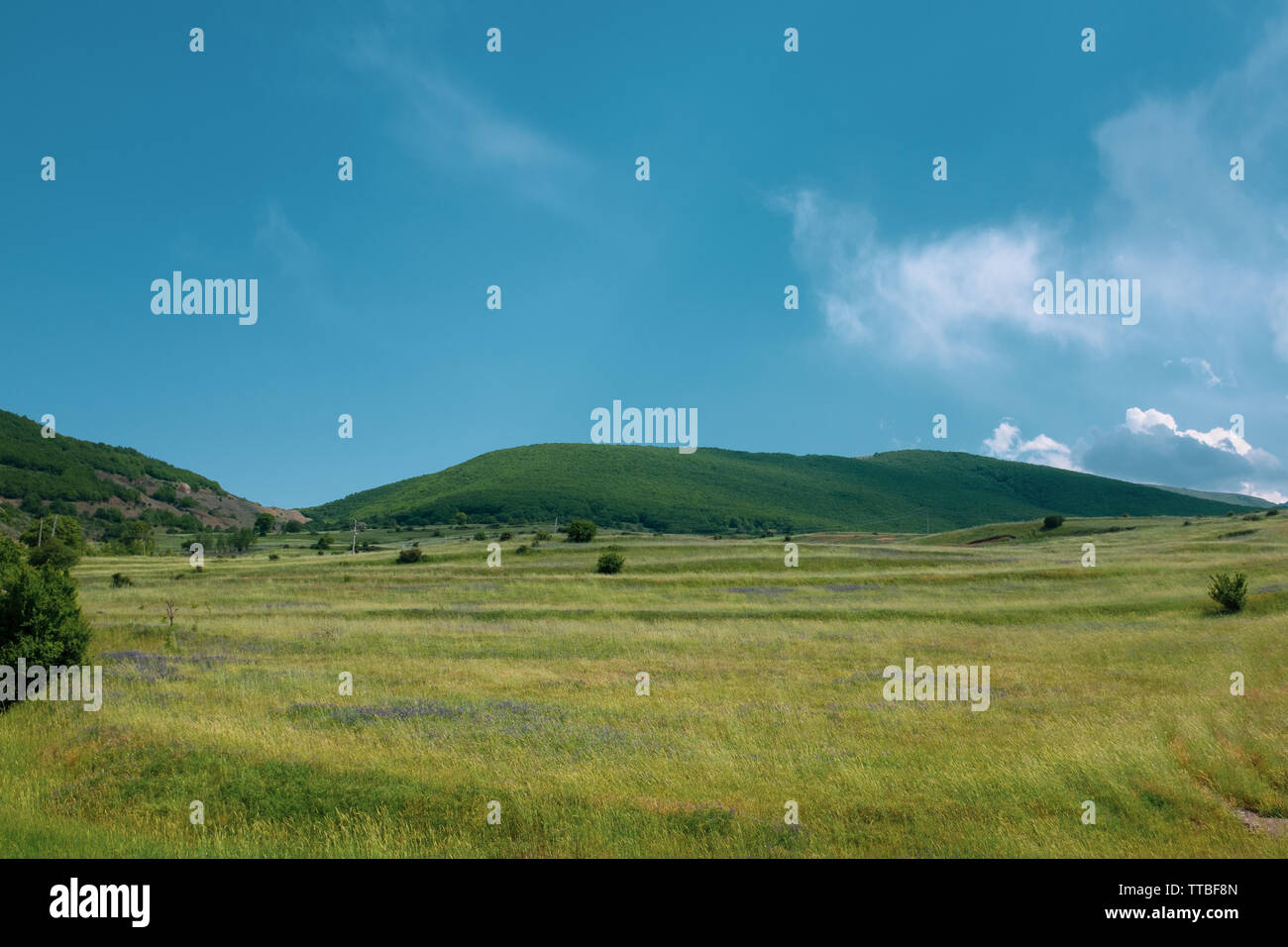 Green hill, blue sky, green meadow, summer theme, Iran landscape. Stock Photo