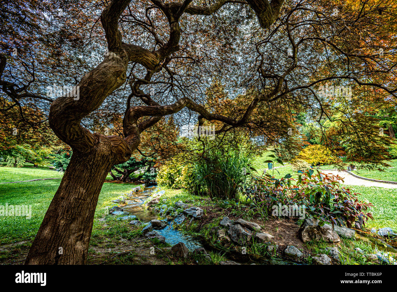 Italy Piedmont Turin Valentino park - Rock garden - trees and stream - Stock Photo