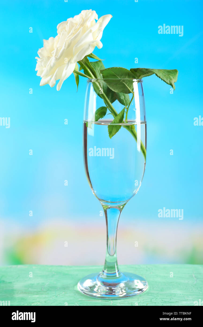 Beautiful rose in vase on bright background Stock Photo - Alamy