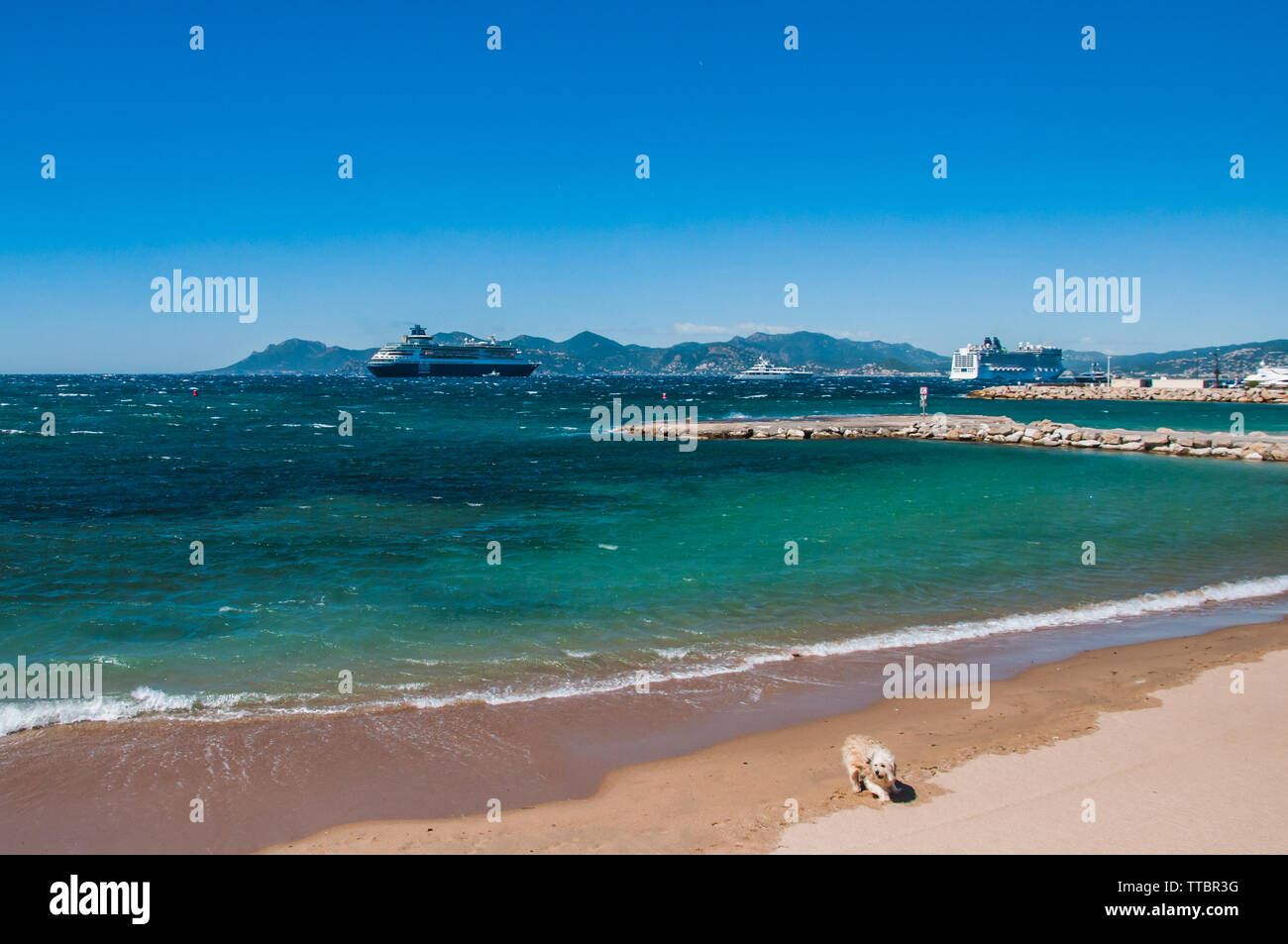Cruise ship in the Bay of Cannes, France Stock Photo Alamy