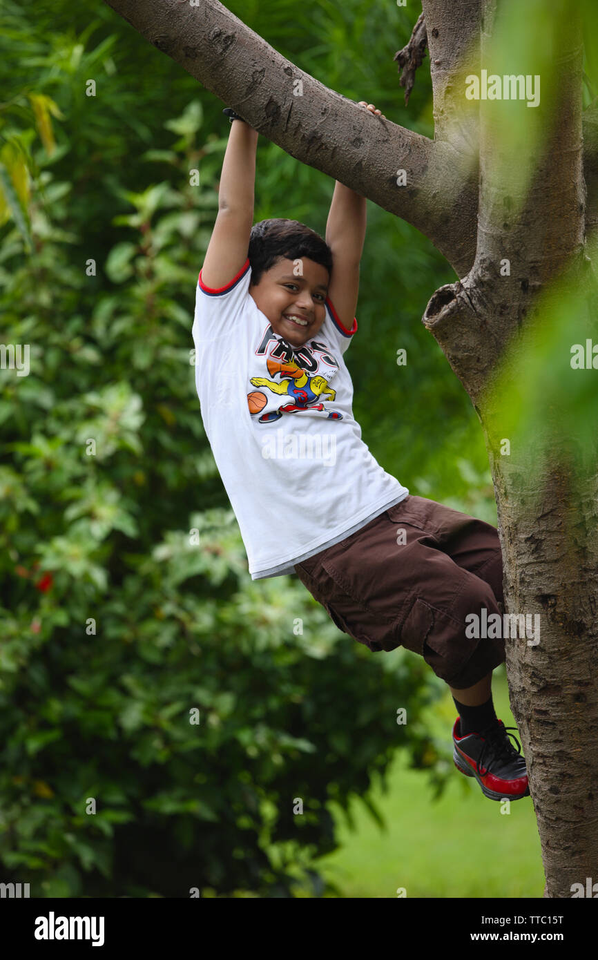 Boy hanging on a tree branch and smiling Stock Photo - Alamy