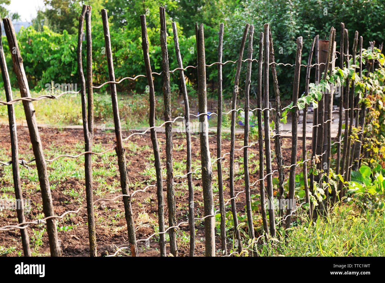 Supporting netting frame in the garden outdoors Stock Photo Alamy