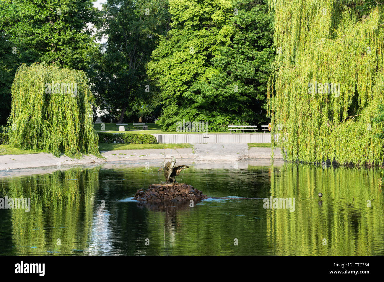 Saxon Garden in Warsaw, Poland, lake with small fountain and green ...