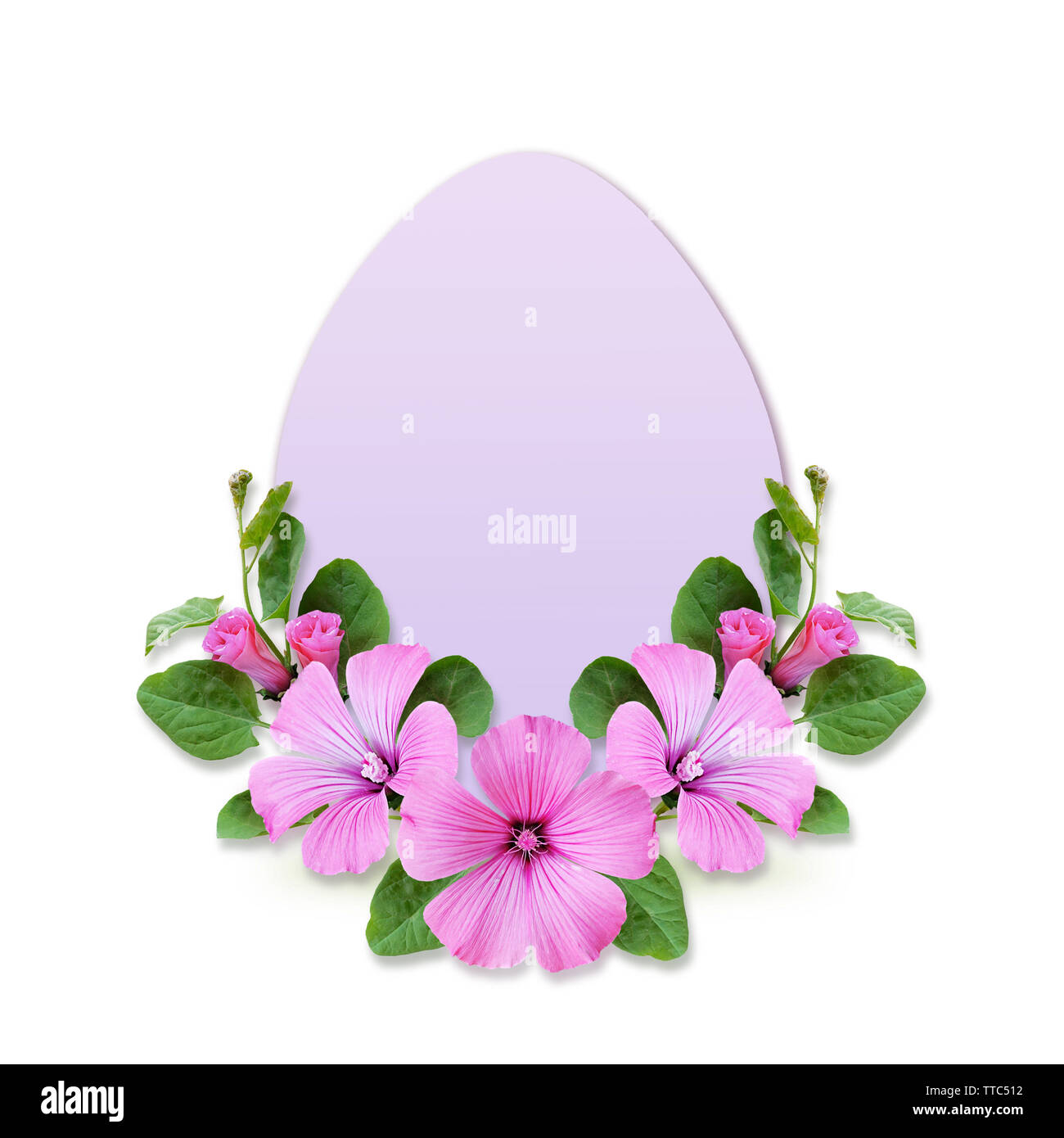 Painted egg and bindweed flowers isolated on white Stock Photo - Alamy