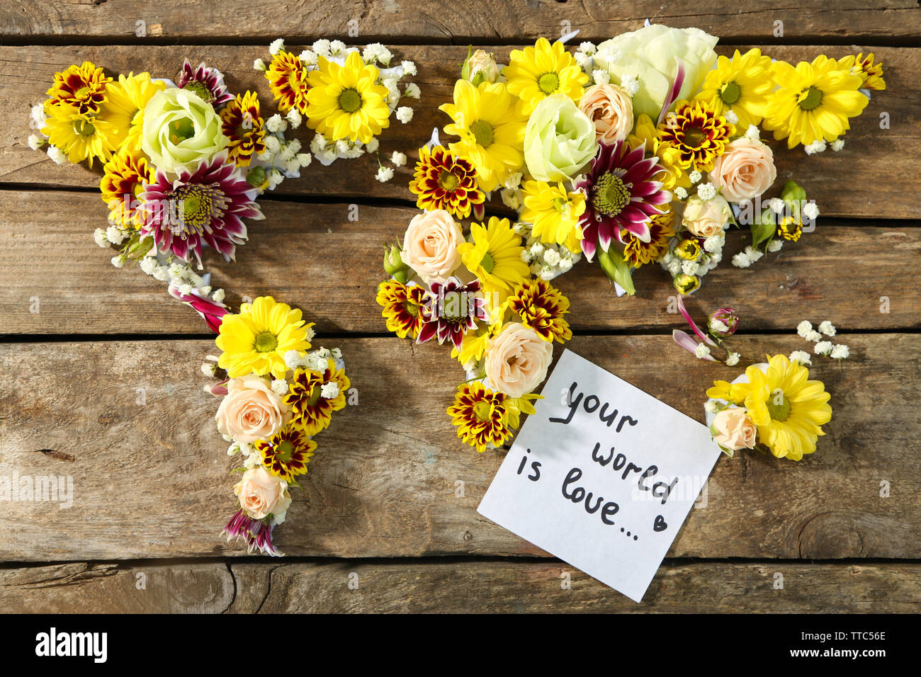 Map of world made from different kinds of flowers, close-up Stock Photo