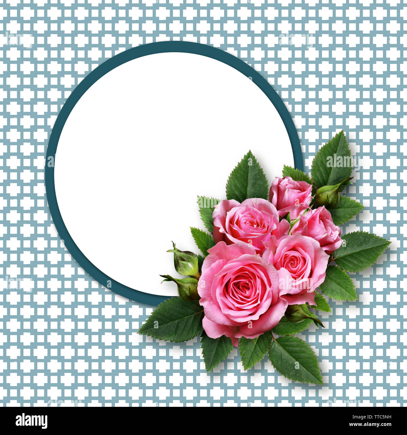 Pink rose flowers and a frame on blue and white background Stock Photo ...