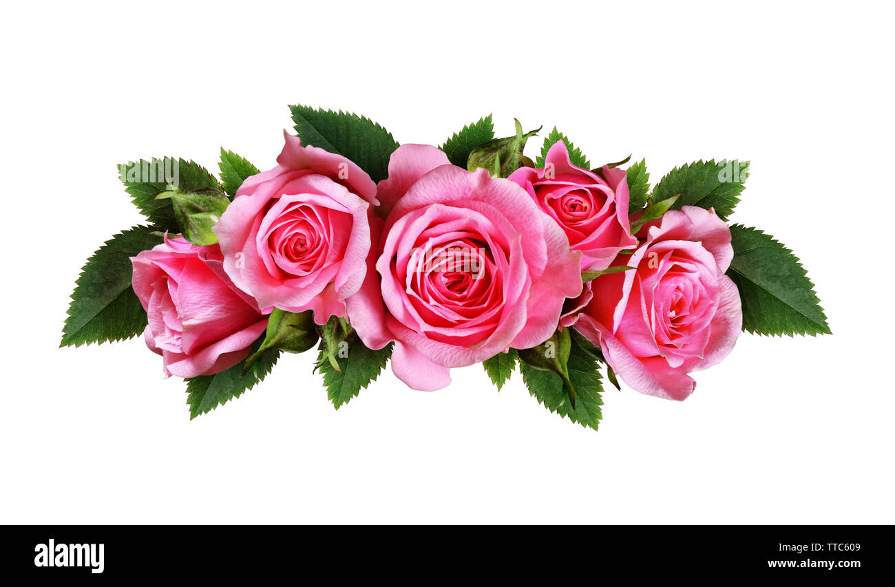 Pink rose flowers arc arrangement isolated on white Stock Photo