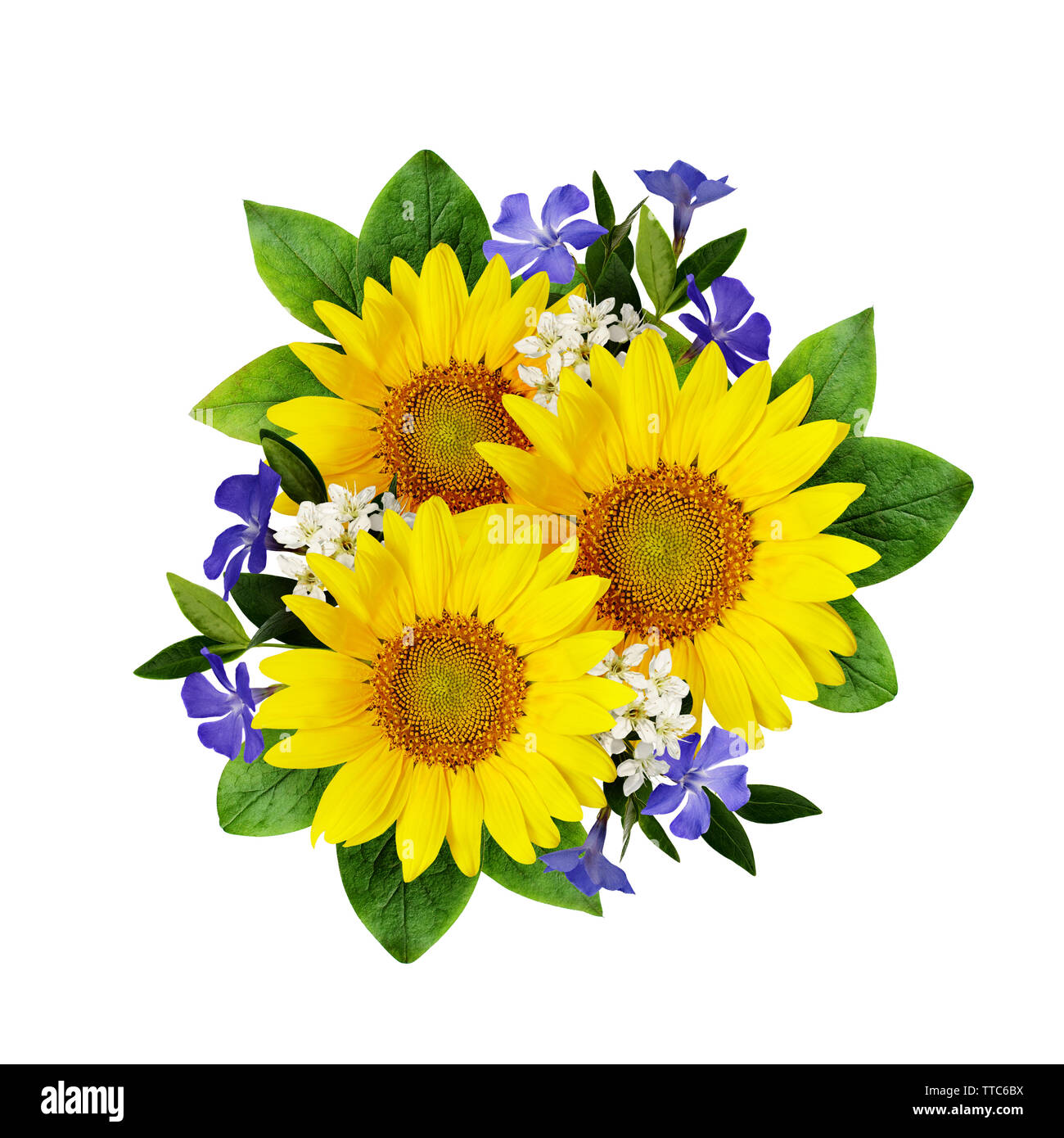 Sunflowers and wild flowers bouquet isolated on white Stock Photo - Alamy