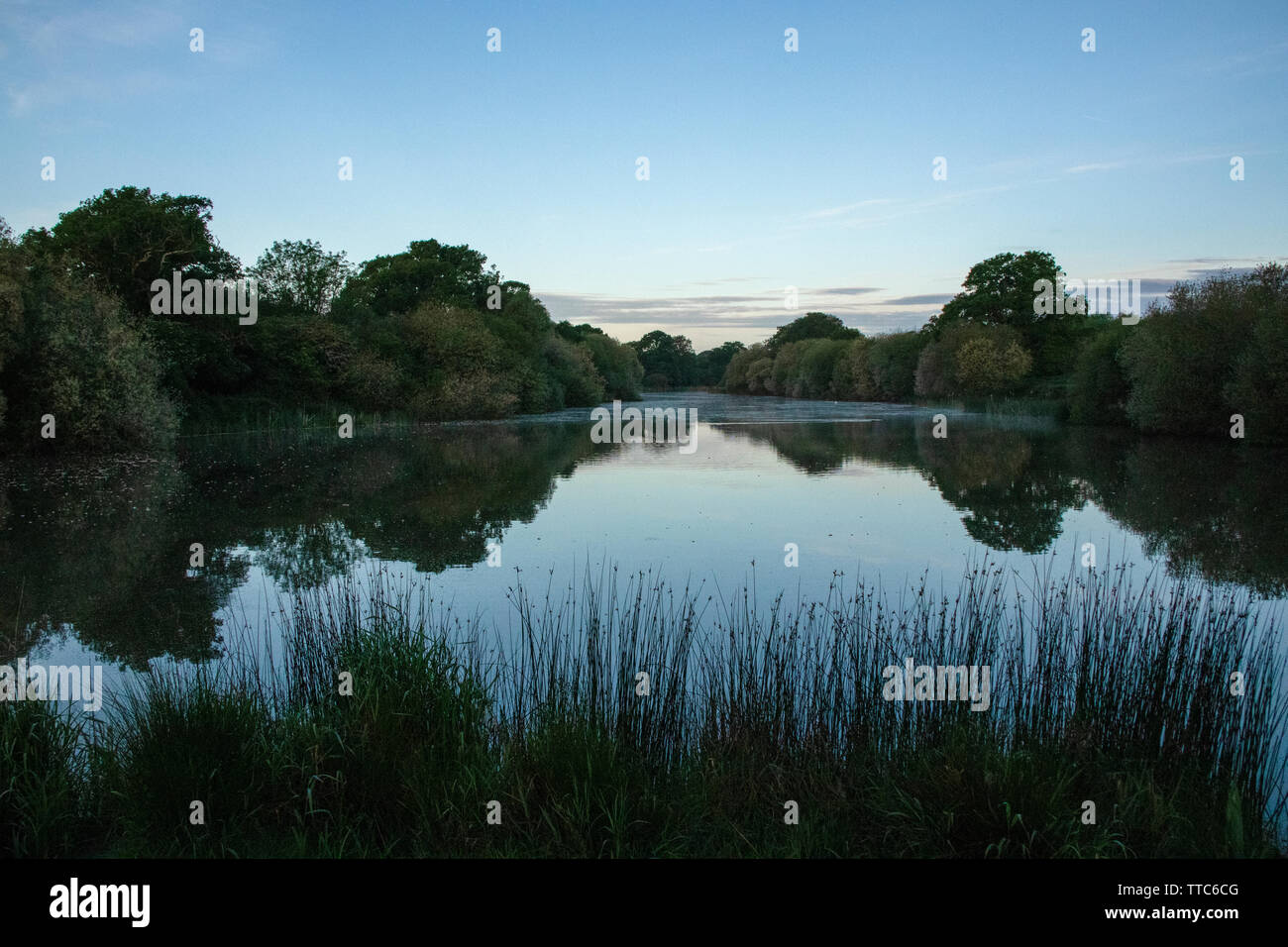 Hammer Pond at Knepp Wildland Stock Photo Alamy