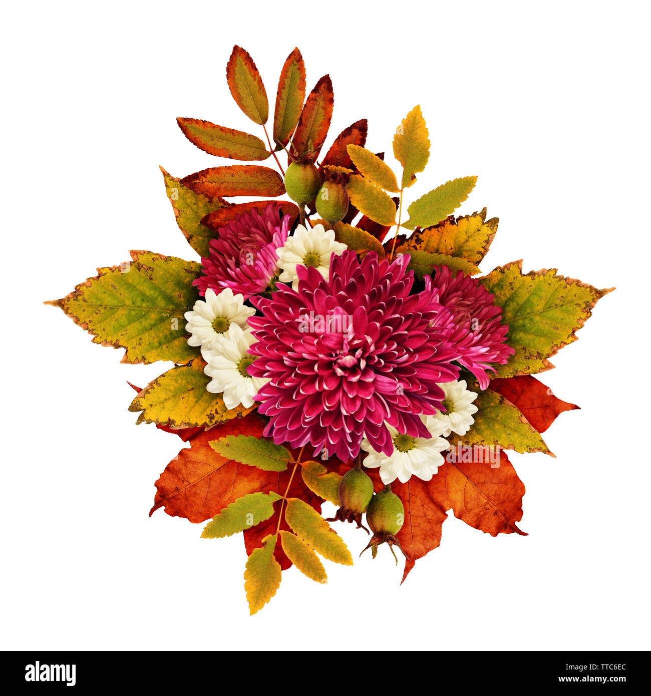 Autumn bouquet with aster flowers and dry leaves isolated on white ...
