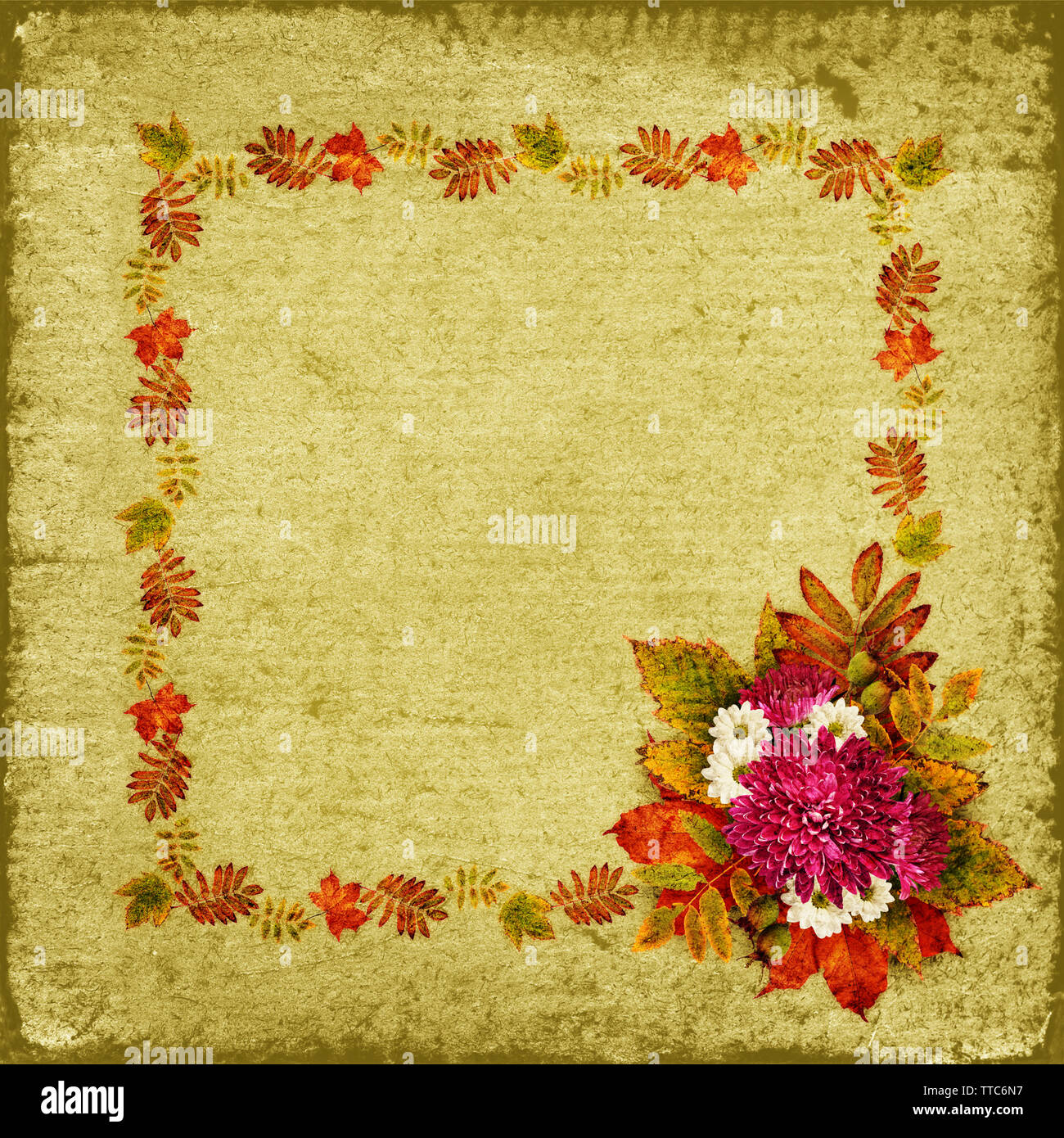 Autumn frame with dry leaves and aster flowers bouquet on green ...