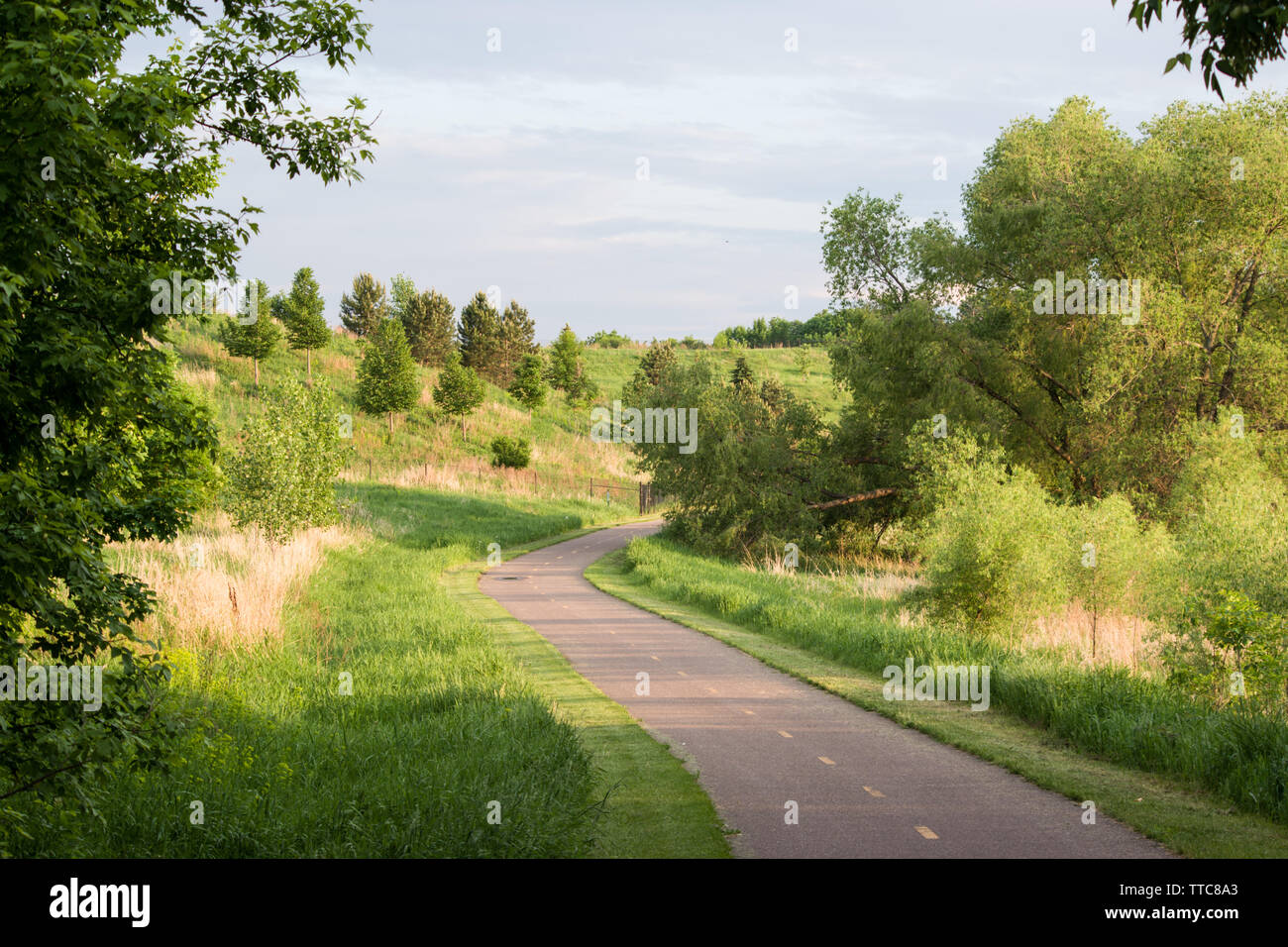 Rice Marsh Lake, Minnesota Stock Photo Alamy