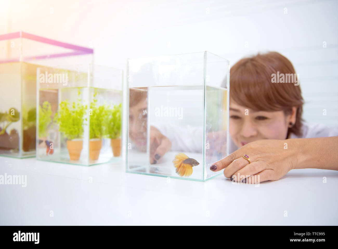 Aquarium for pet and hobby at home. Decorate and fish tank design Stock  Photo - Alamy