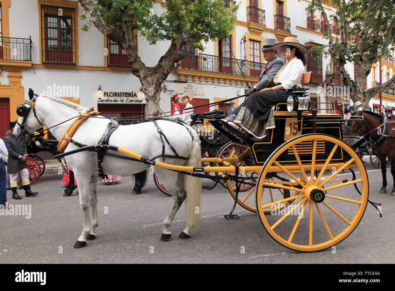 Spain, Andalusia, Seville, Feria, fair, festival, horse carriage