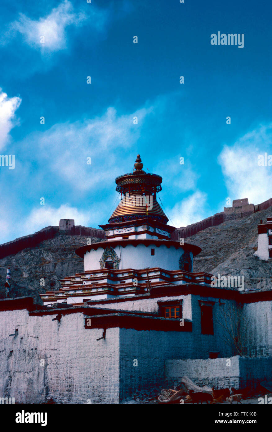Kumbum,Palcho Chode monastery,Gyantse,Tibet Stock Photo