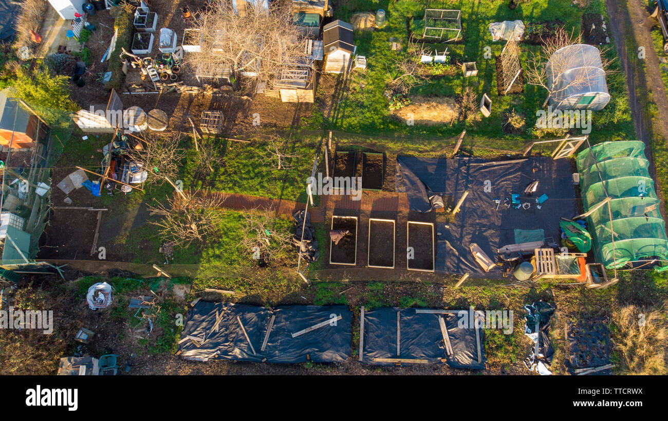 Cole Park Allotment, drone view, Isleworth, England, United Kingdom Stock Photo