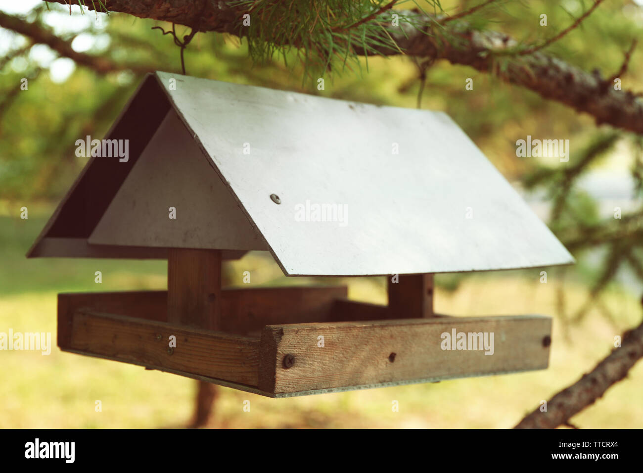 Bird Feeder House With Bird Food Outdoor Stock Photo 255979084